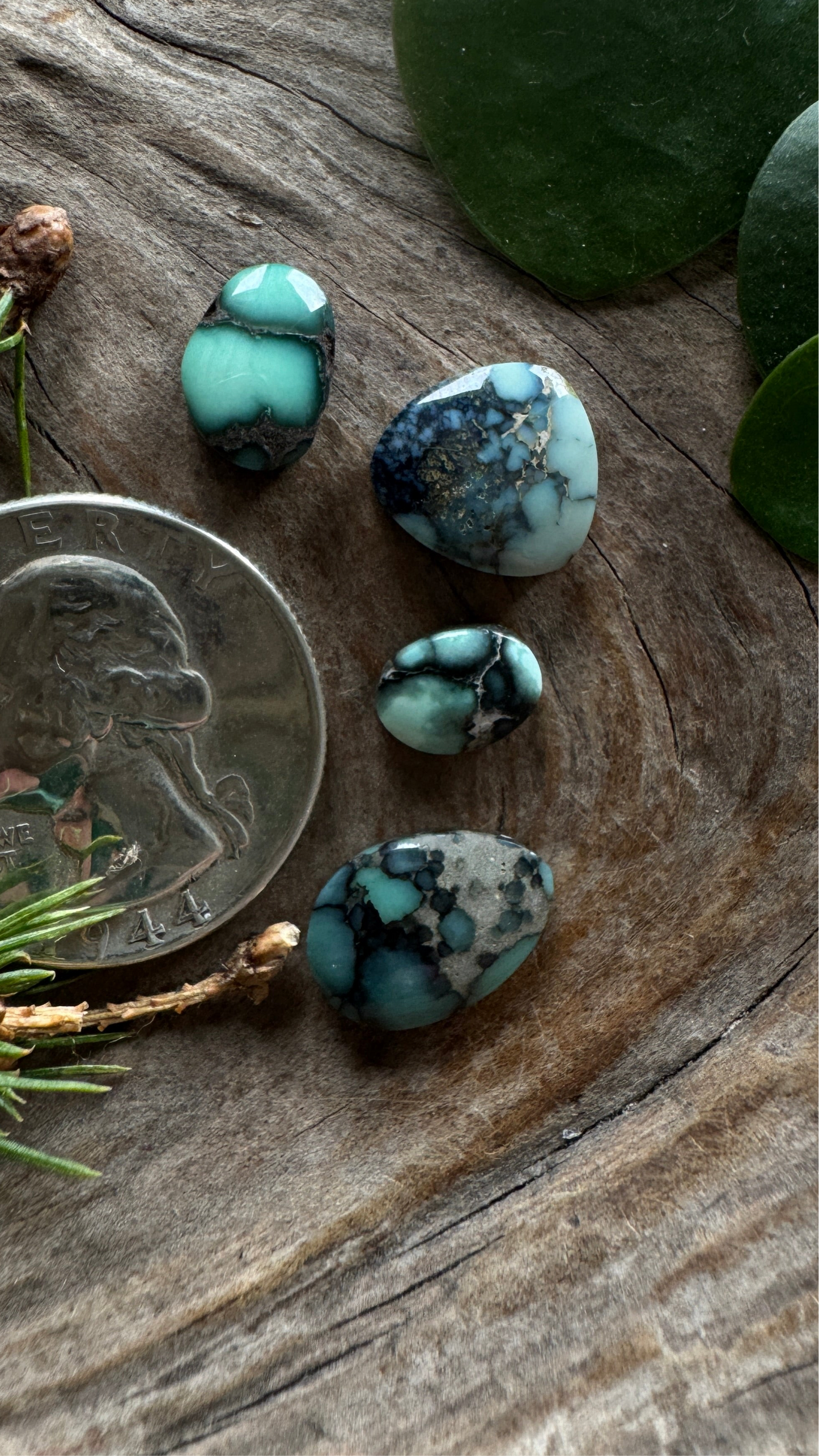 Colina Verde/Calypso Variscite Quad Lot
