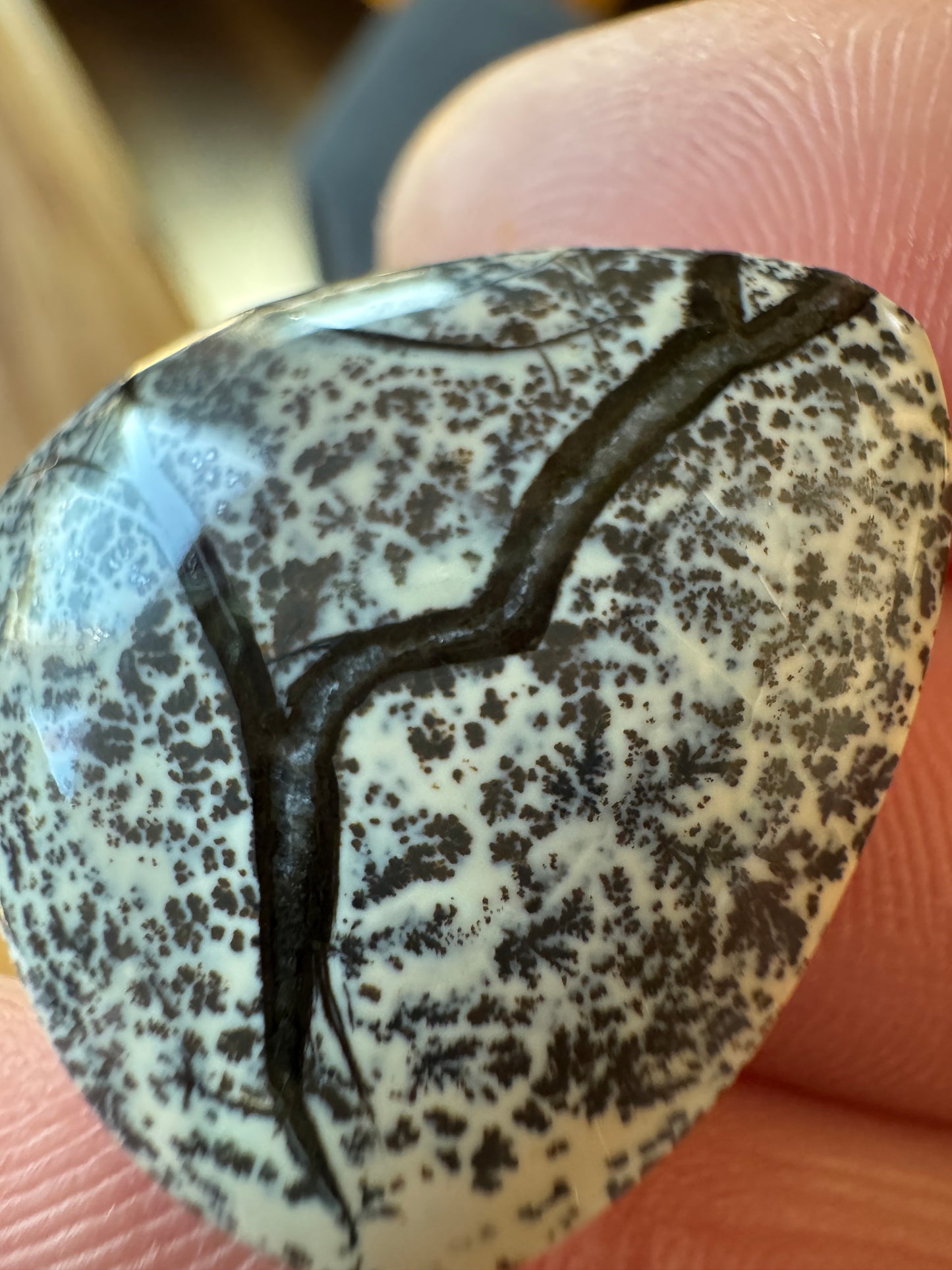 Bonsai Stone - Wyoming