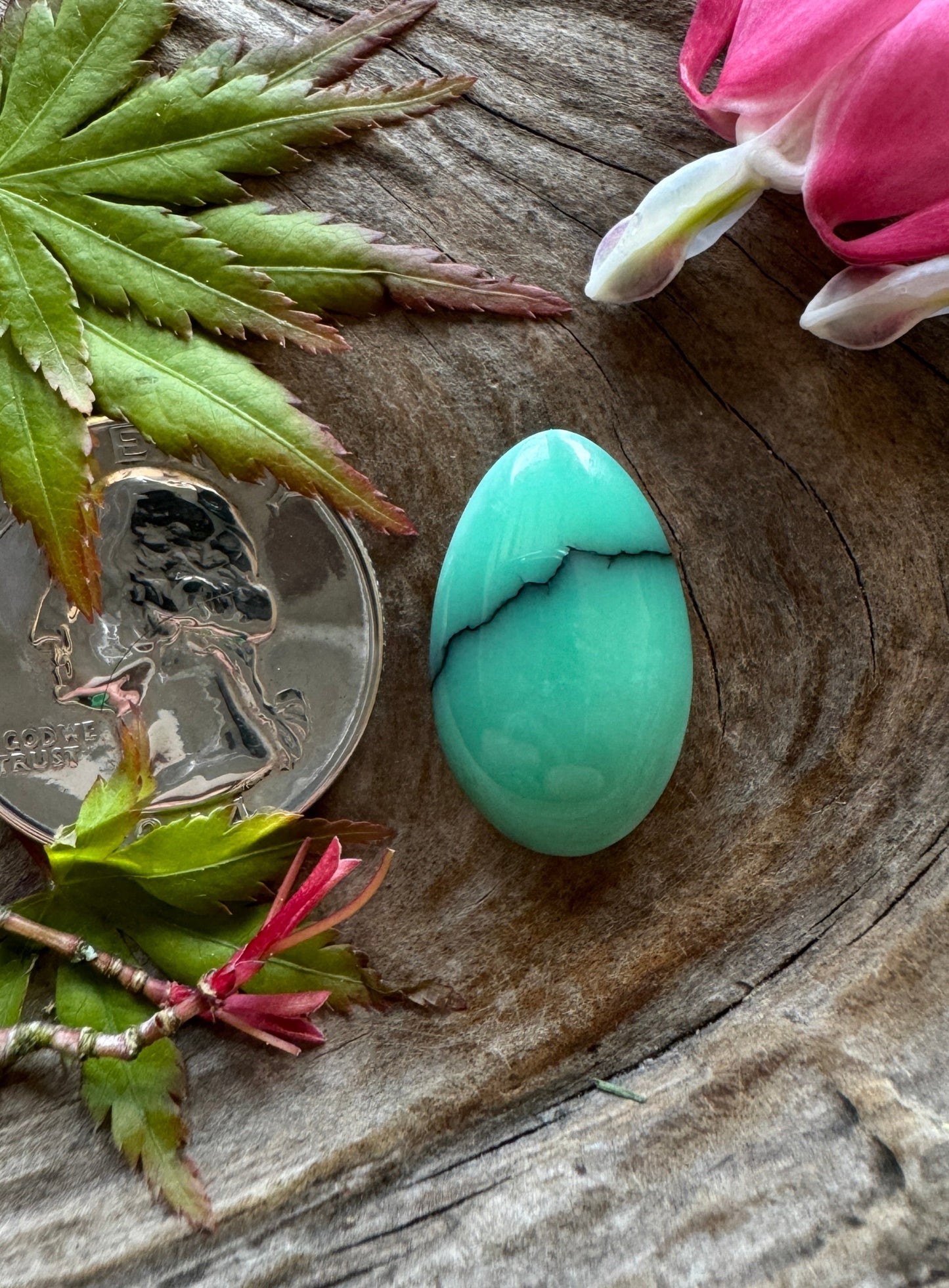 Desert Bloom Variscite - The Juice