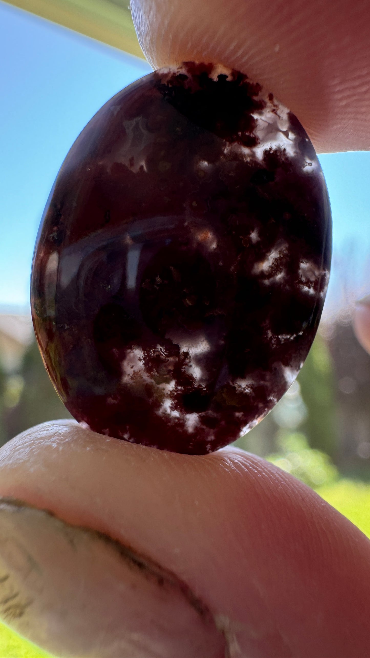 Ocotillo Agate - Josh Brody Discovery- insane detail!!