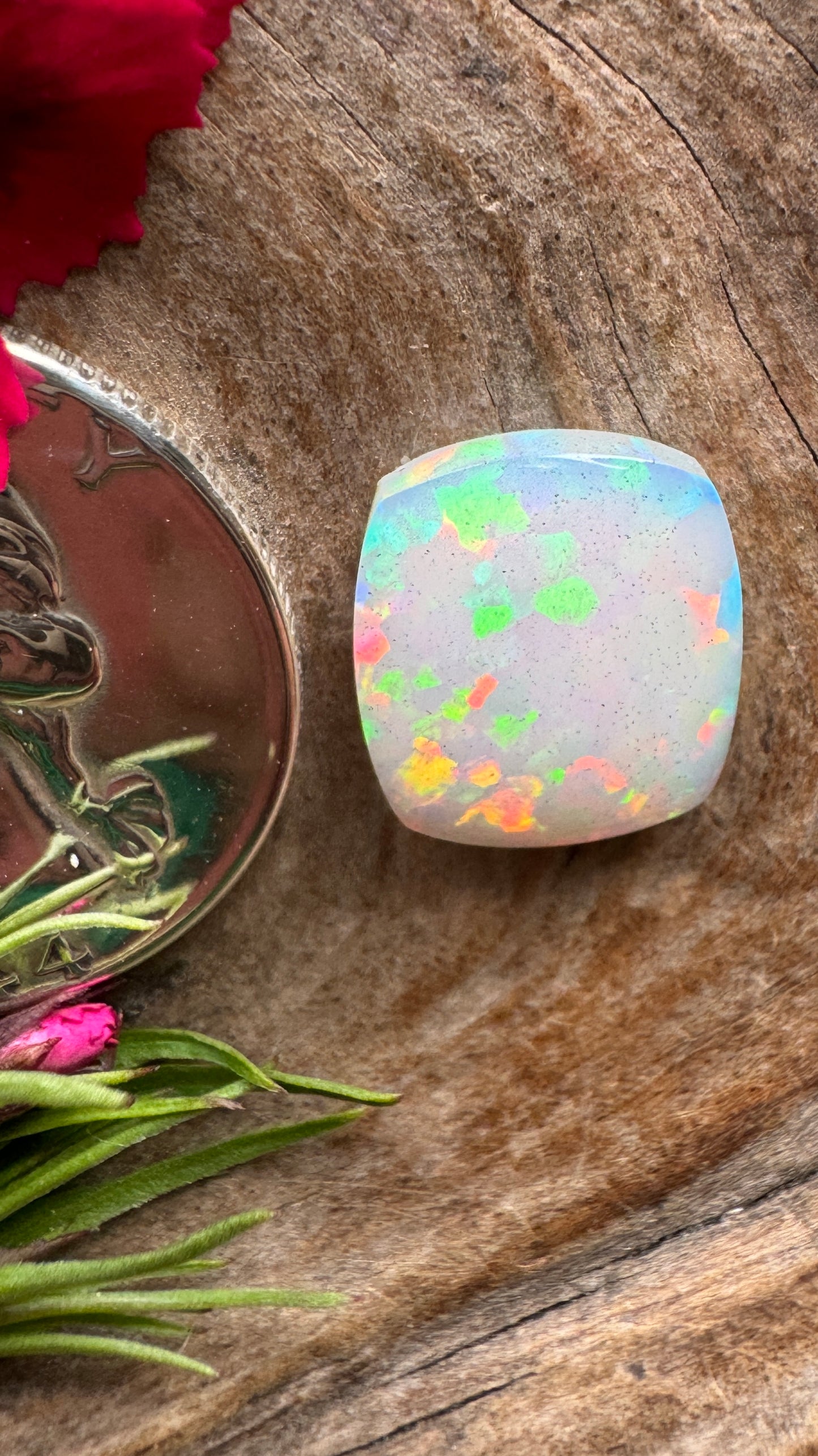 Welo Opal -FLASHY