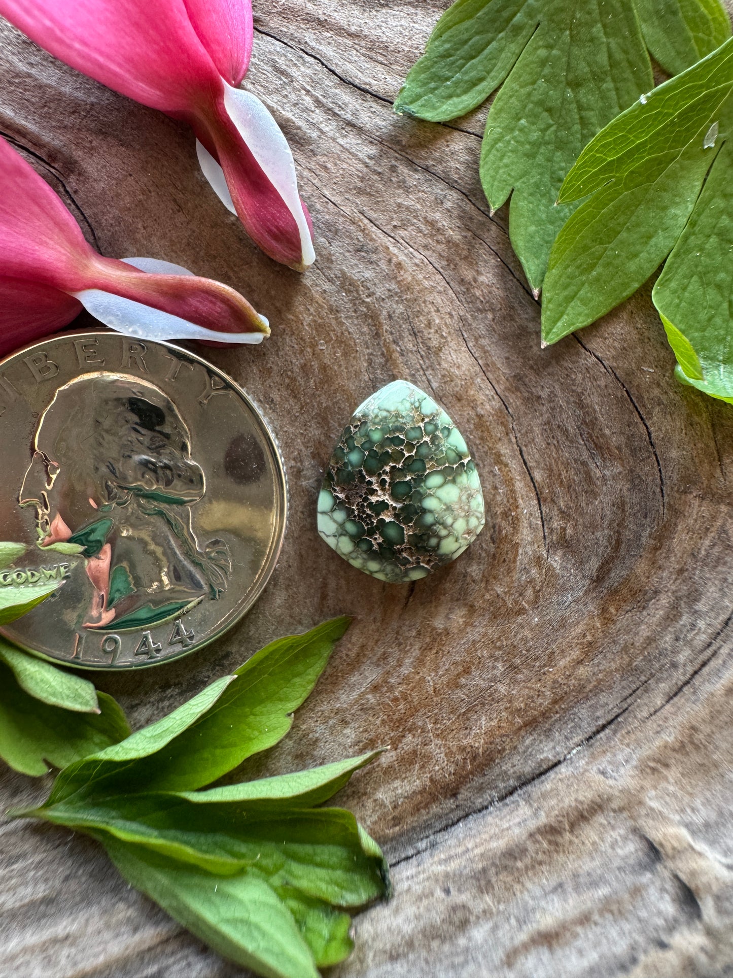 Natural Damele Variscite - bonkers
