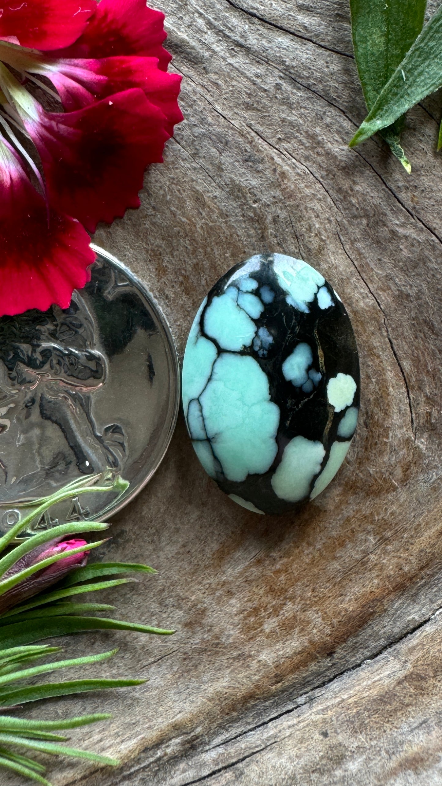 Ultra High Grade Desert Bloom (black) perfect ringer