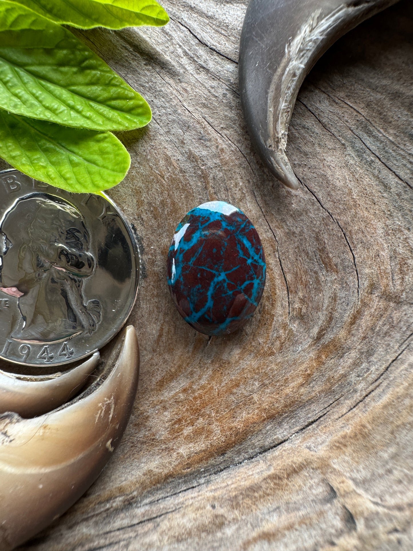 Rod's Shattuckite