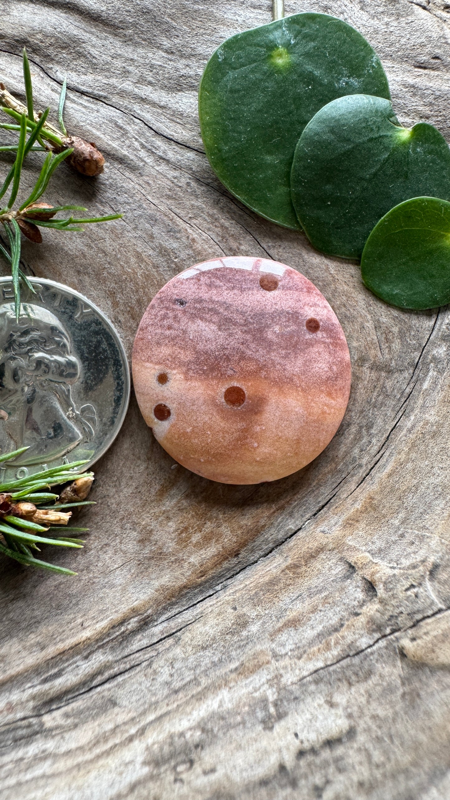 Polka Dot Jasper - Oregon