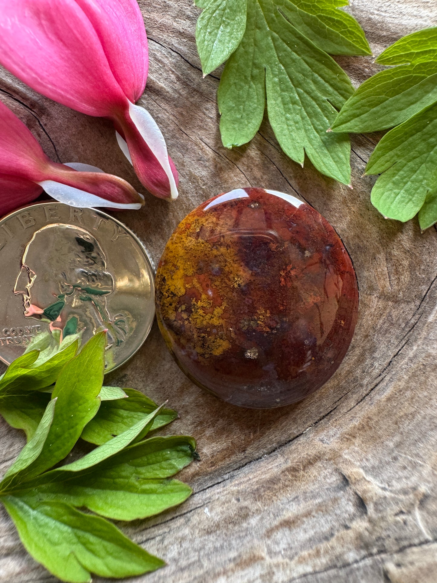 Anders' Agate - Oregon