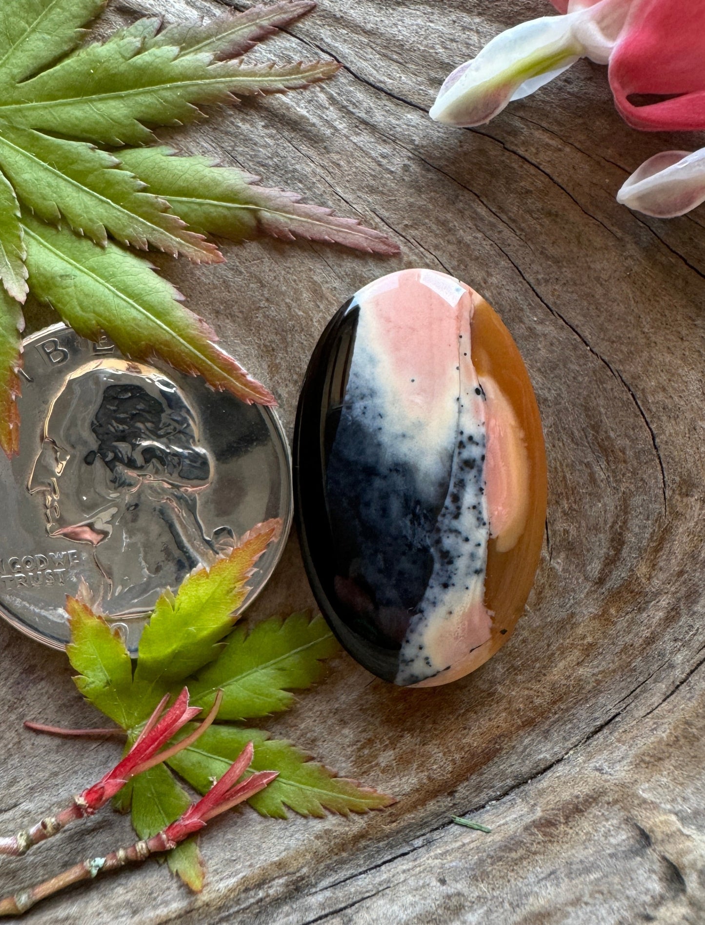 Tiffany Stone - Top SHELF - Pink/Agatized/Purple