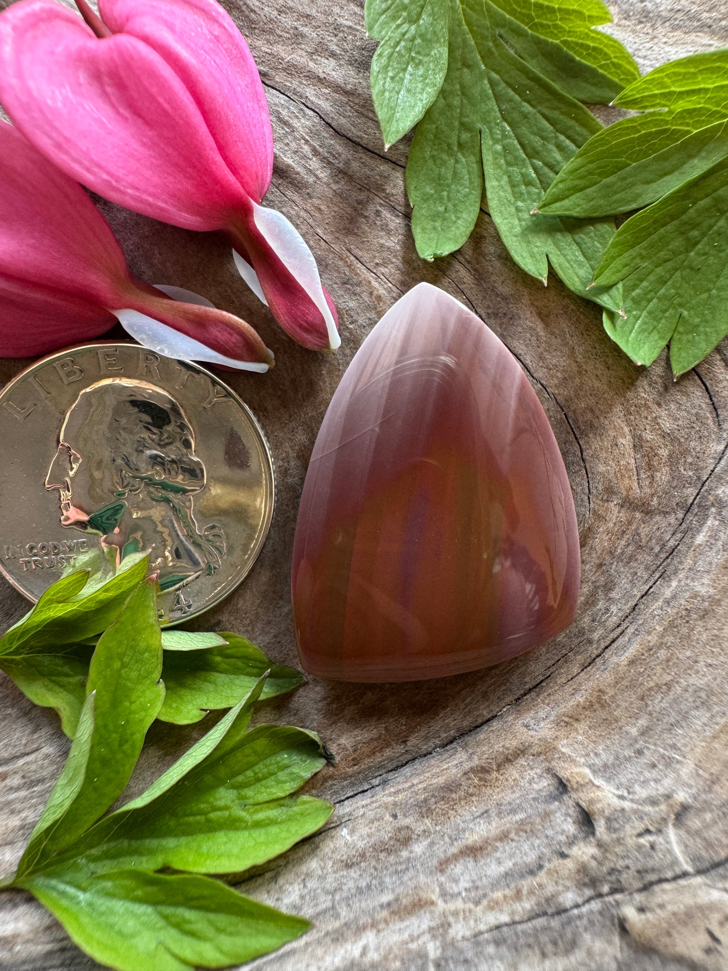 Willow Creek Jasper - Idaho - Insane coloring - healed fracture