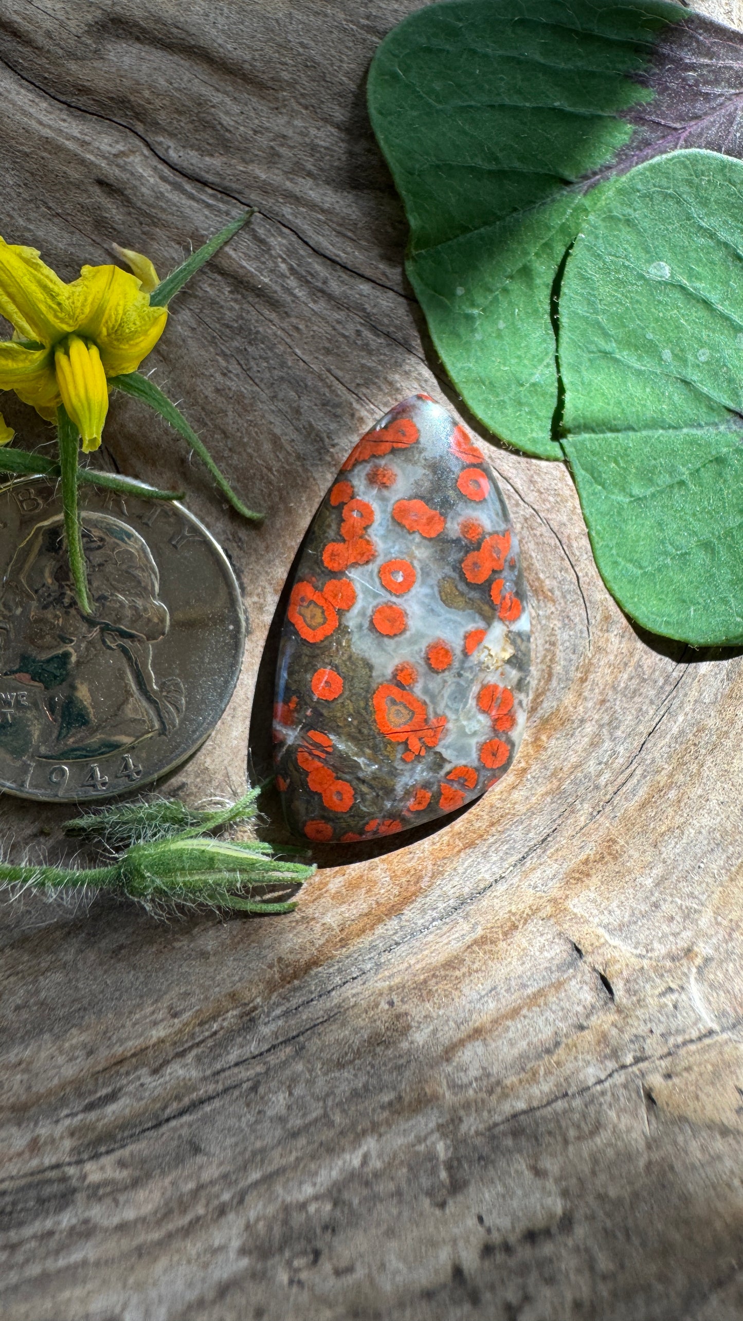 Morgan Hill Poppy Jasper