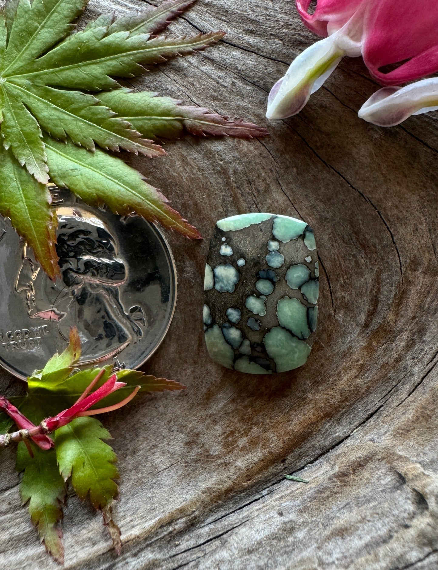 Desert Bloom Variscite