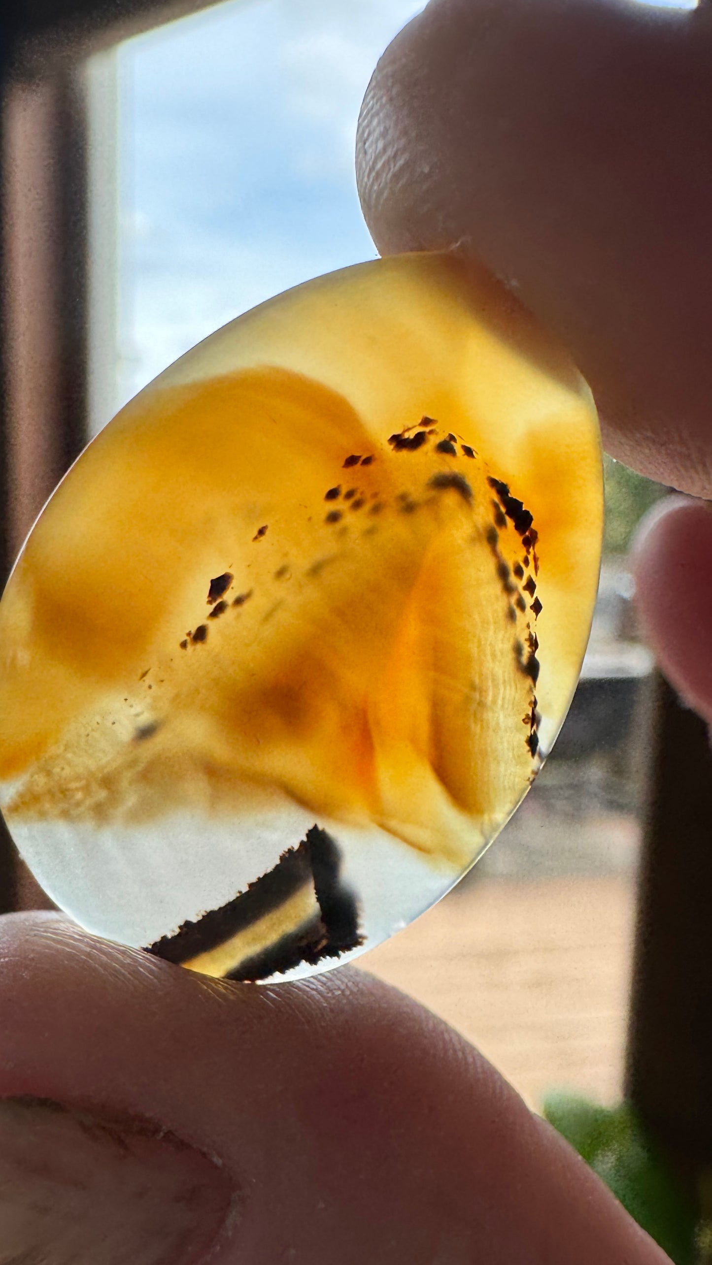 Montana Agate