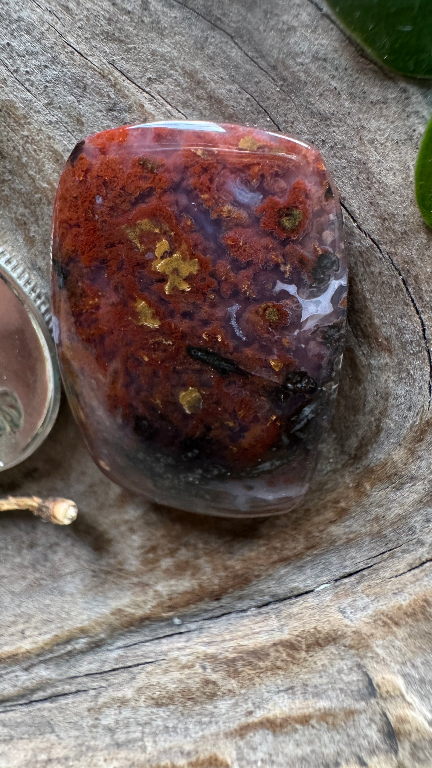 Ocotillo Agate - Josh Brody Discovery
