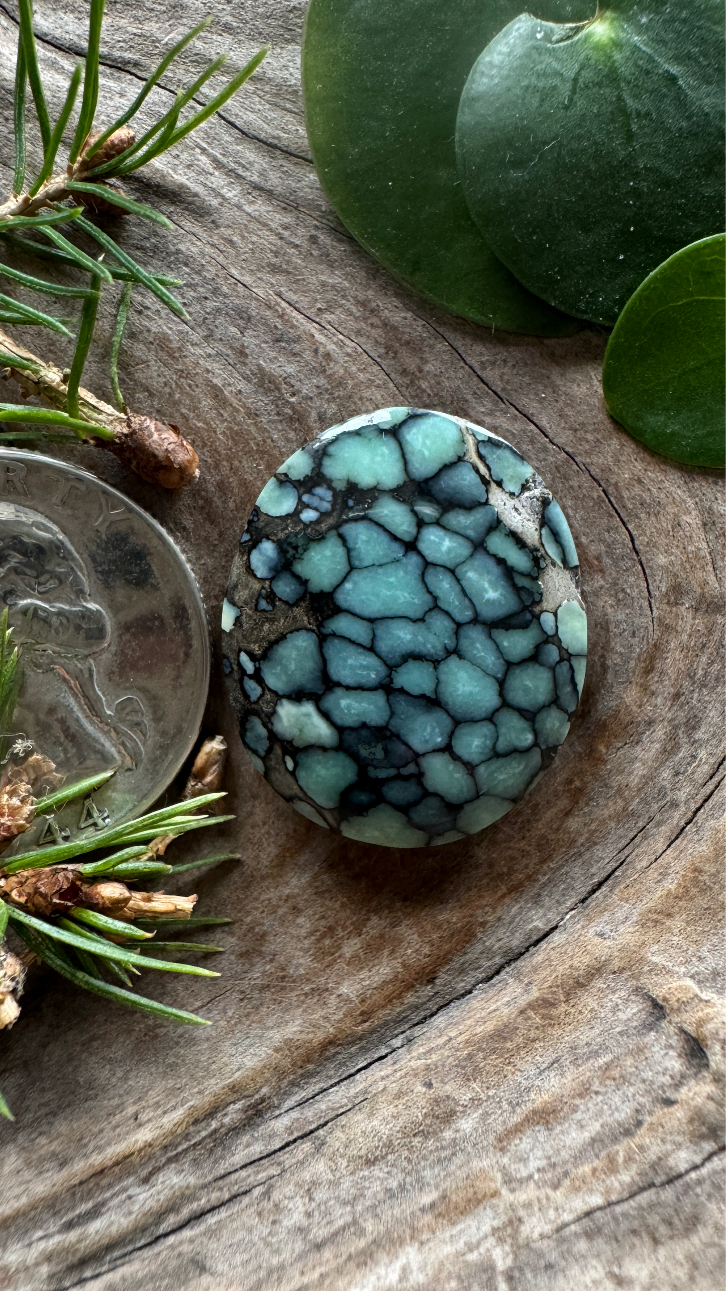 Desert Bloom Variscite - Top shelf, all natural