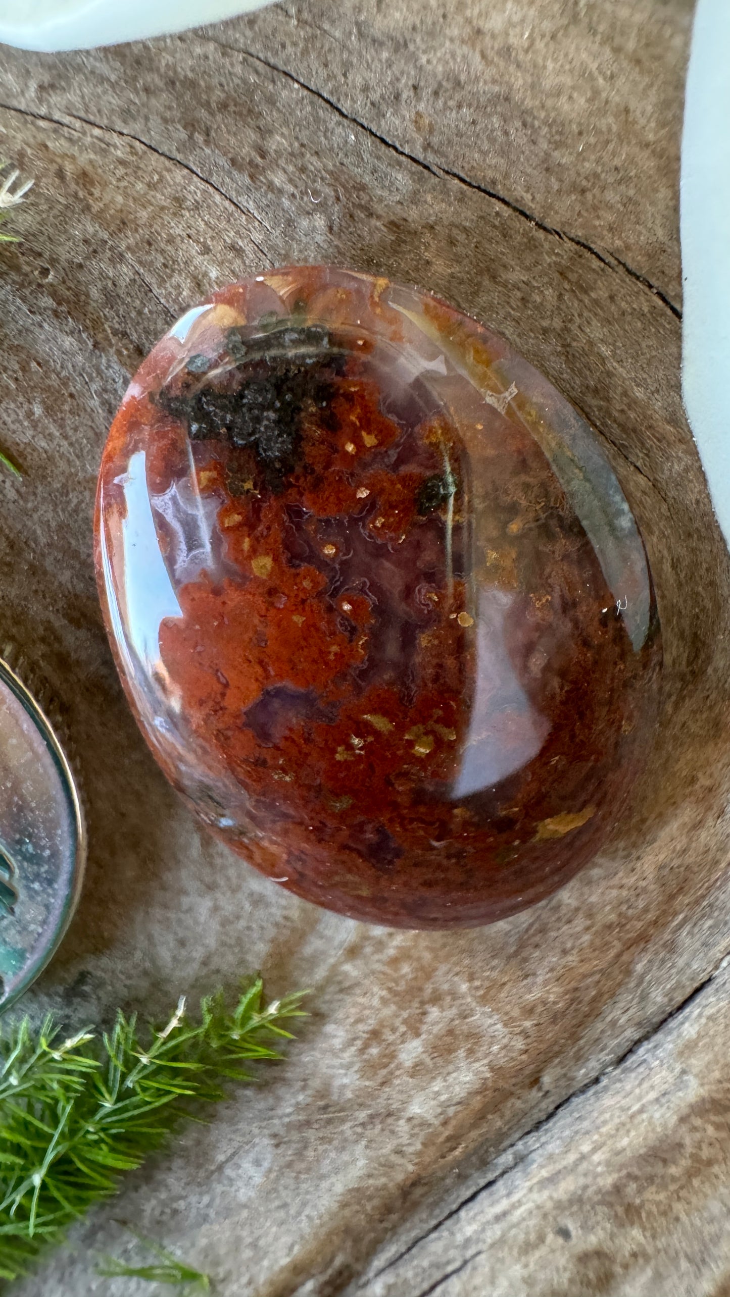 Ocotillo Agate - Josh Brody Discovery- insane detail!!