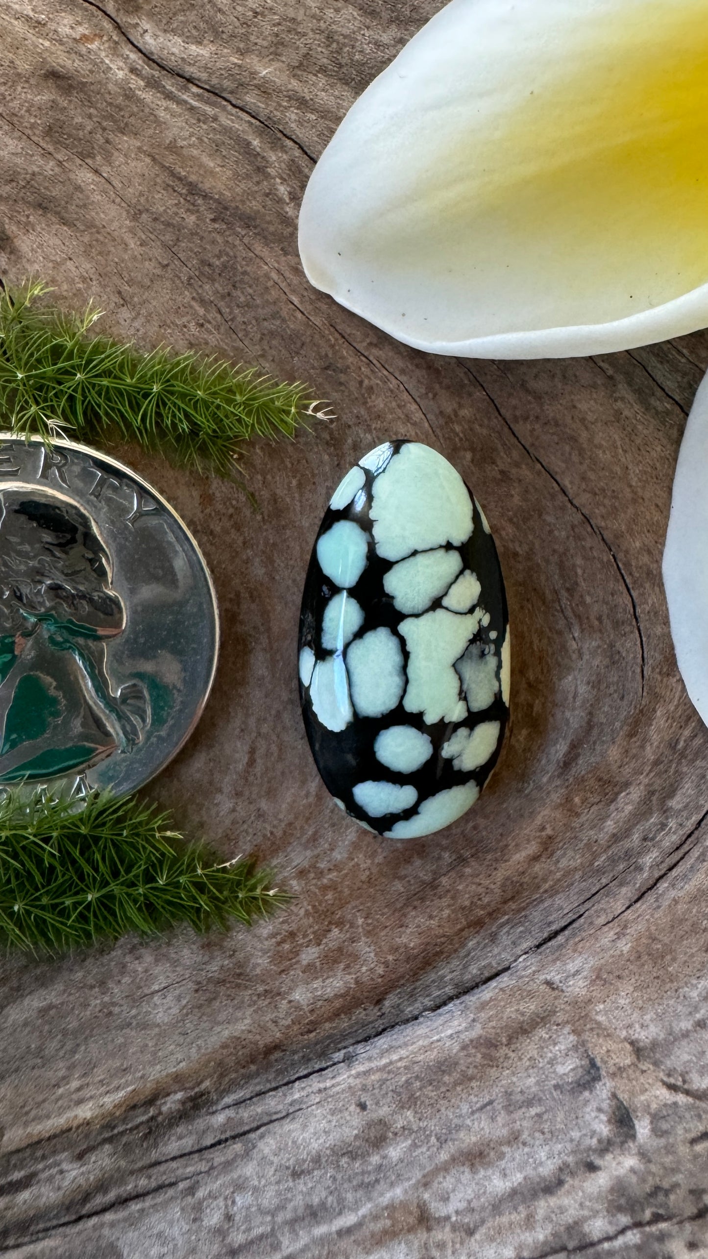 Desert Bloom Variscite - Black-Minty goodness