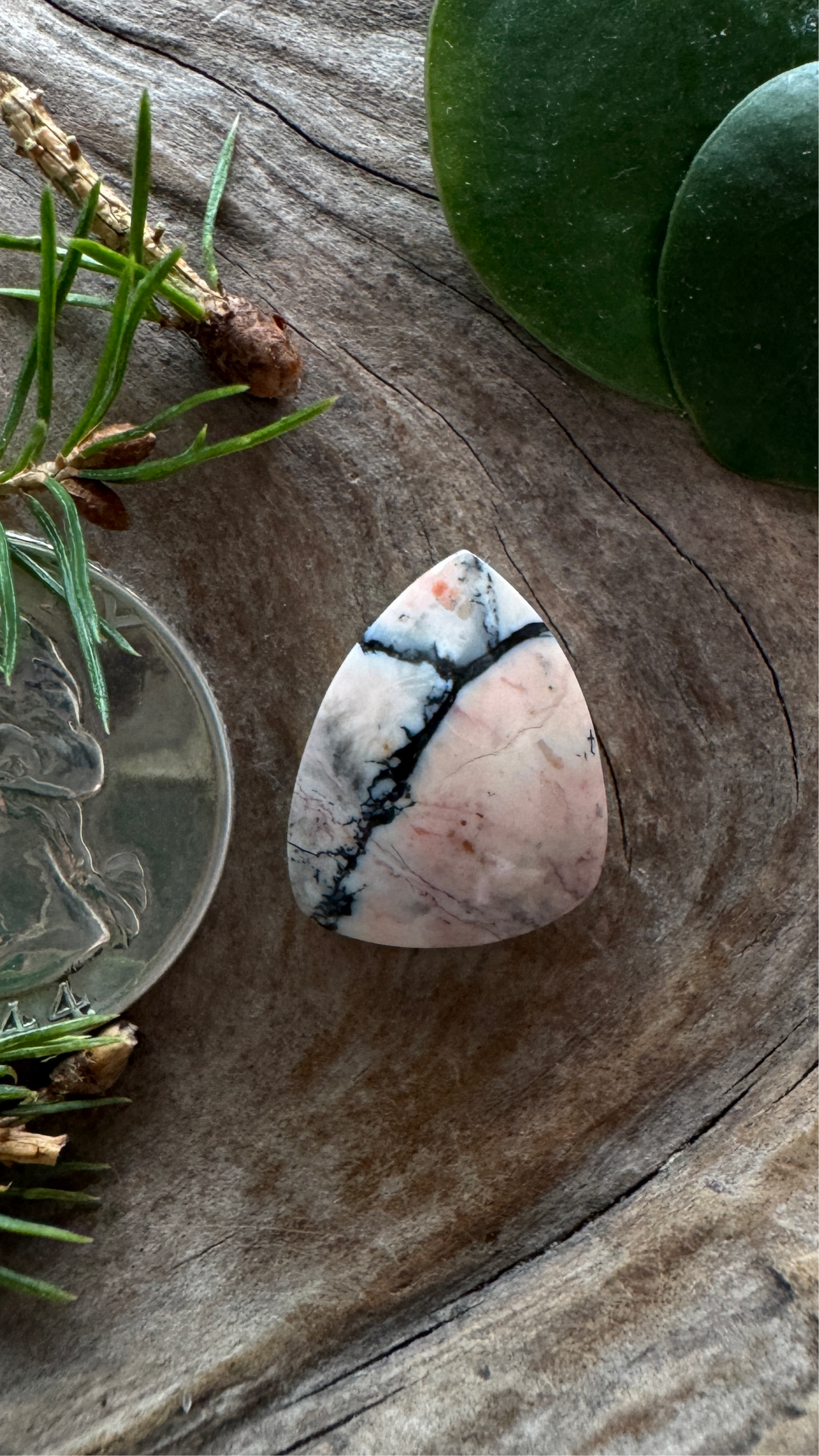 Tiffany Stone - Utah