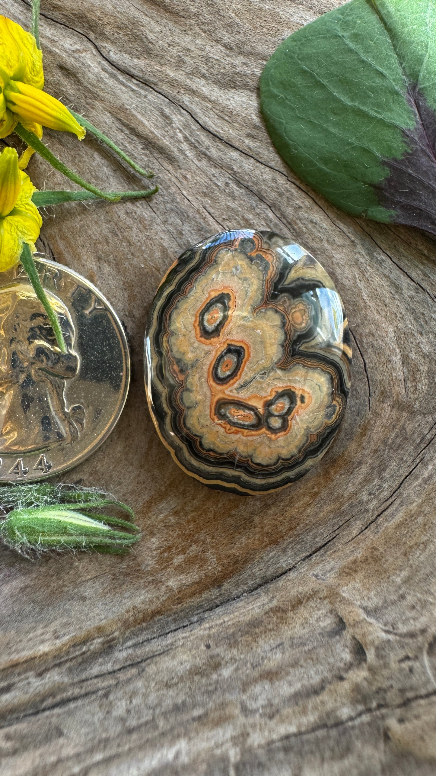Flowering Tube Onyx