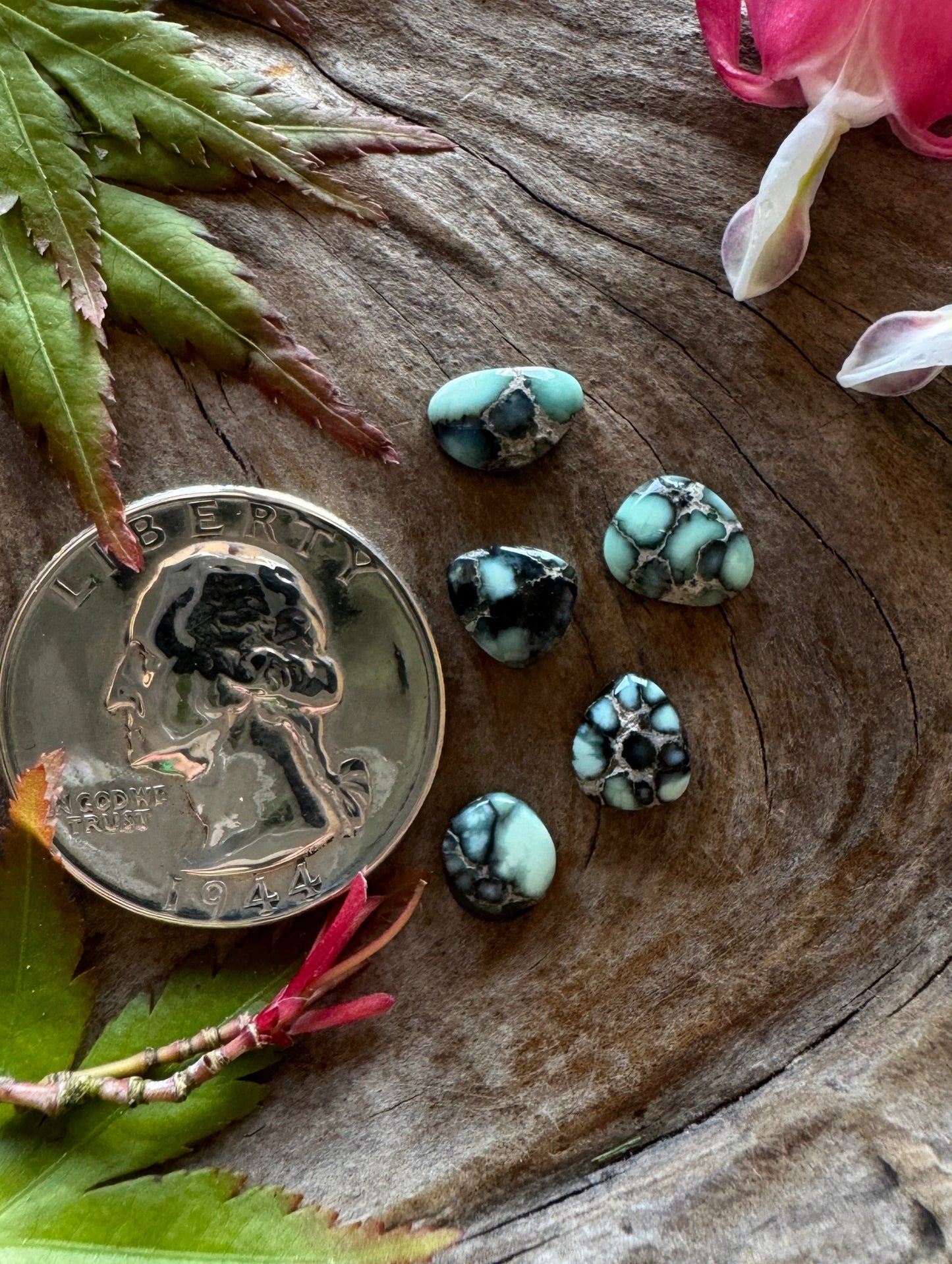 Calypso Variscite -Preemie Lot