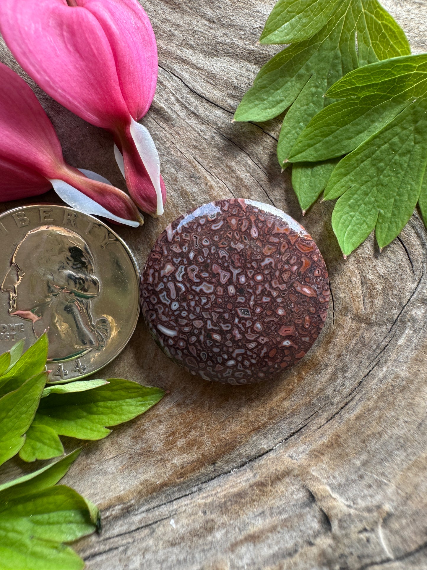 Dino Gem Bone - pinkish/reddish/white/druzy