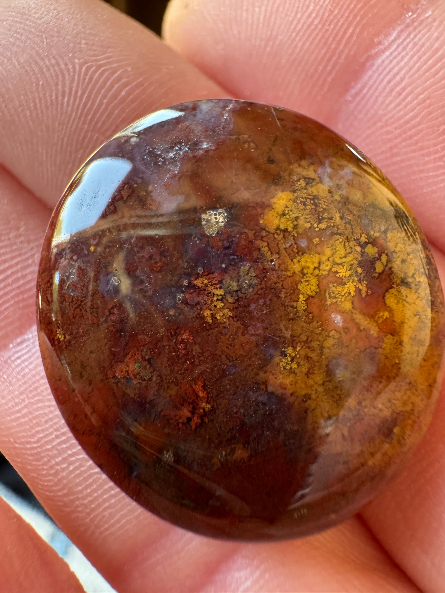 Anders' Agate - Oregon