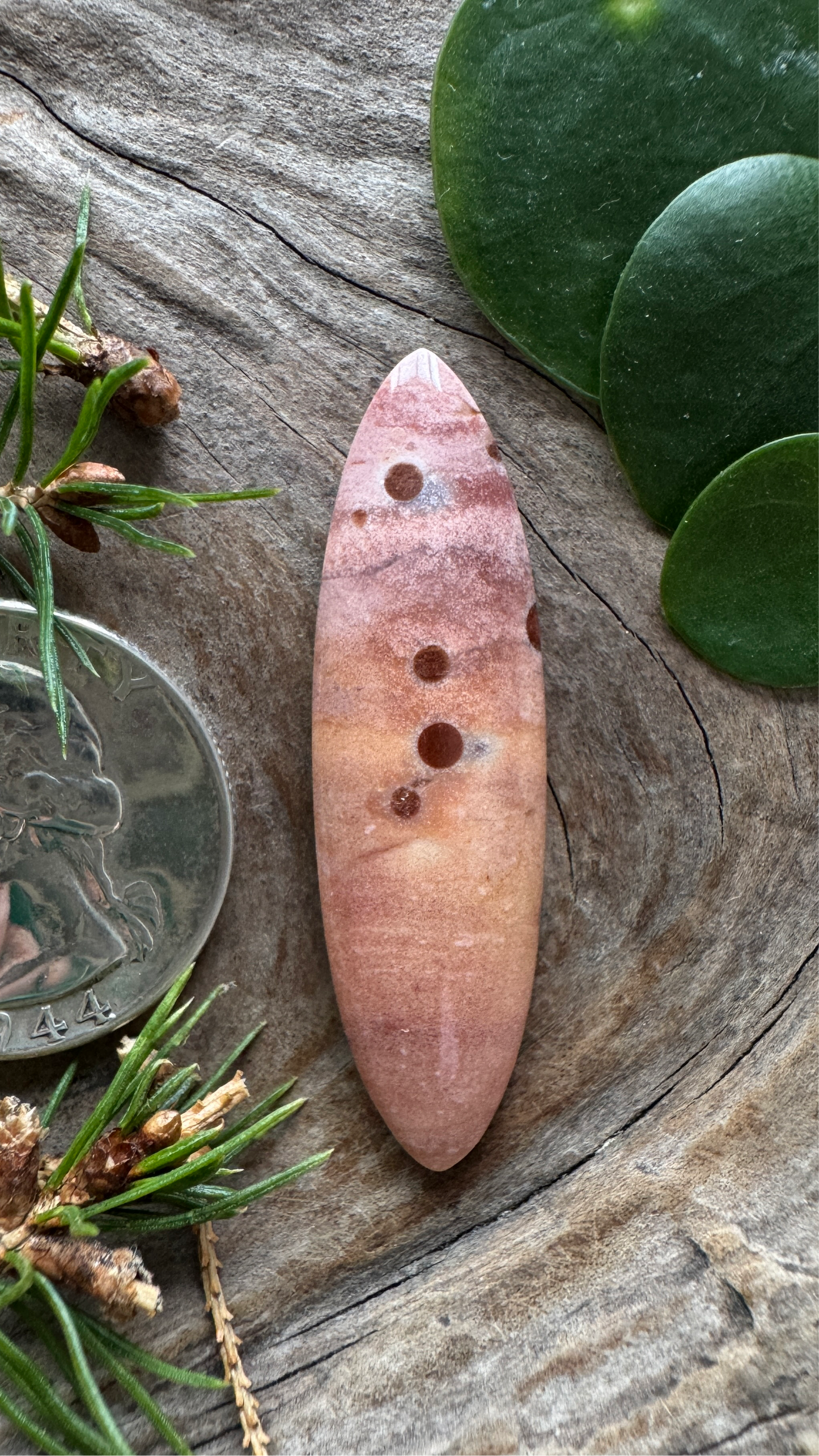 Polka Dot Jasper - Oregon