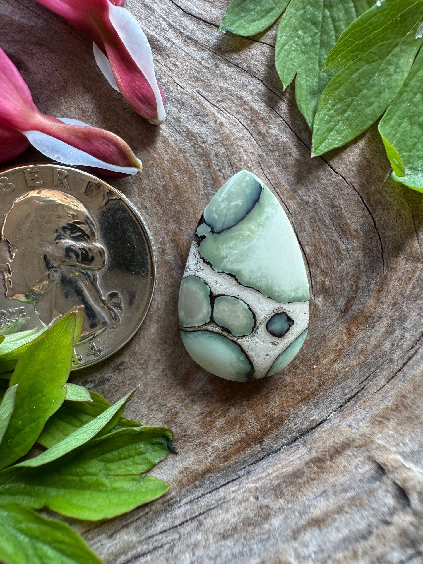 100% NATURAL/unaltered Desert Bloom Variscite