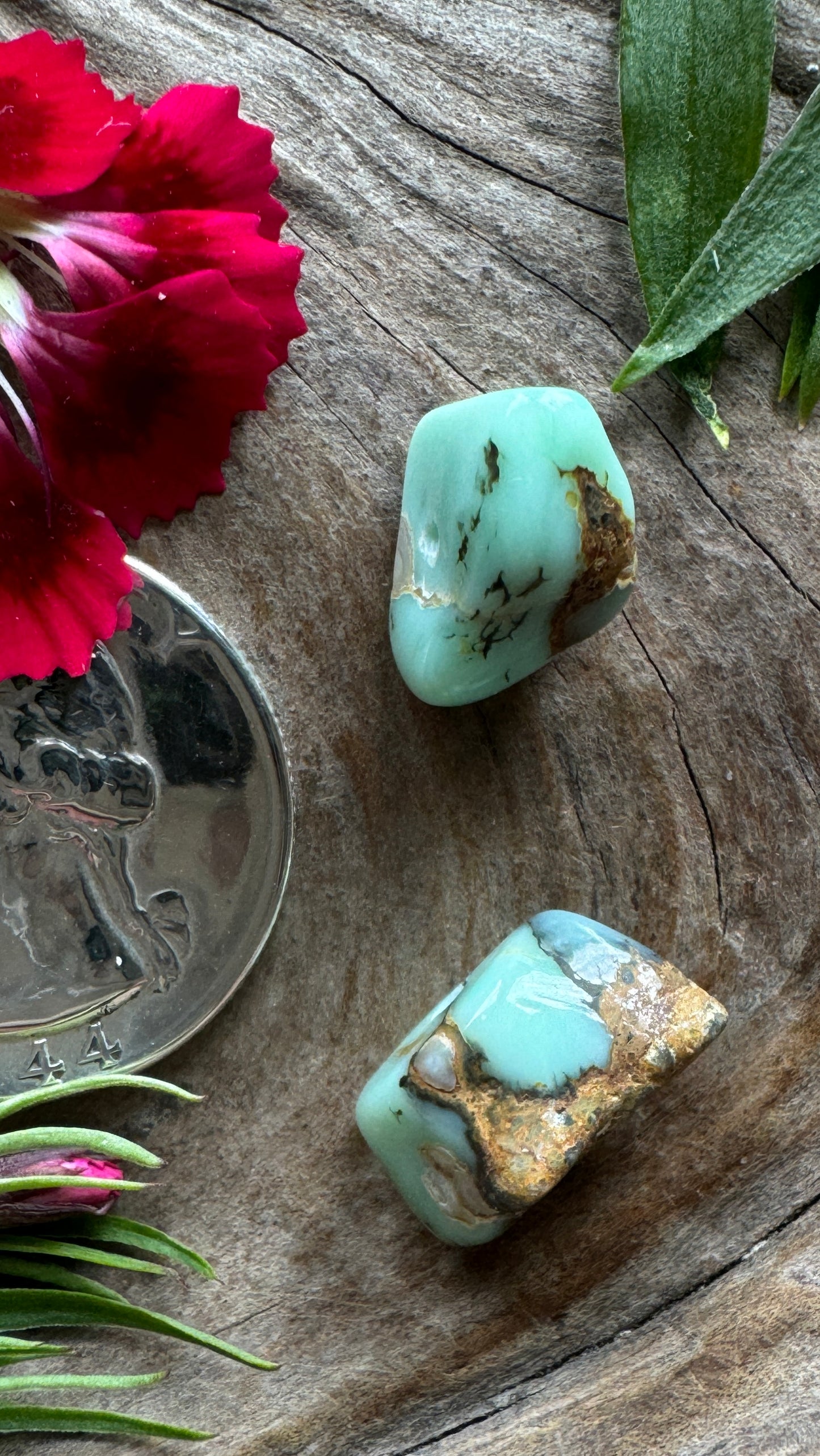 7D Seven Dwarfs Beads- big natural beads