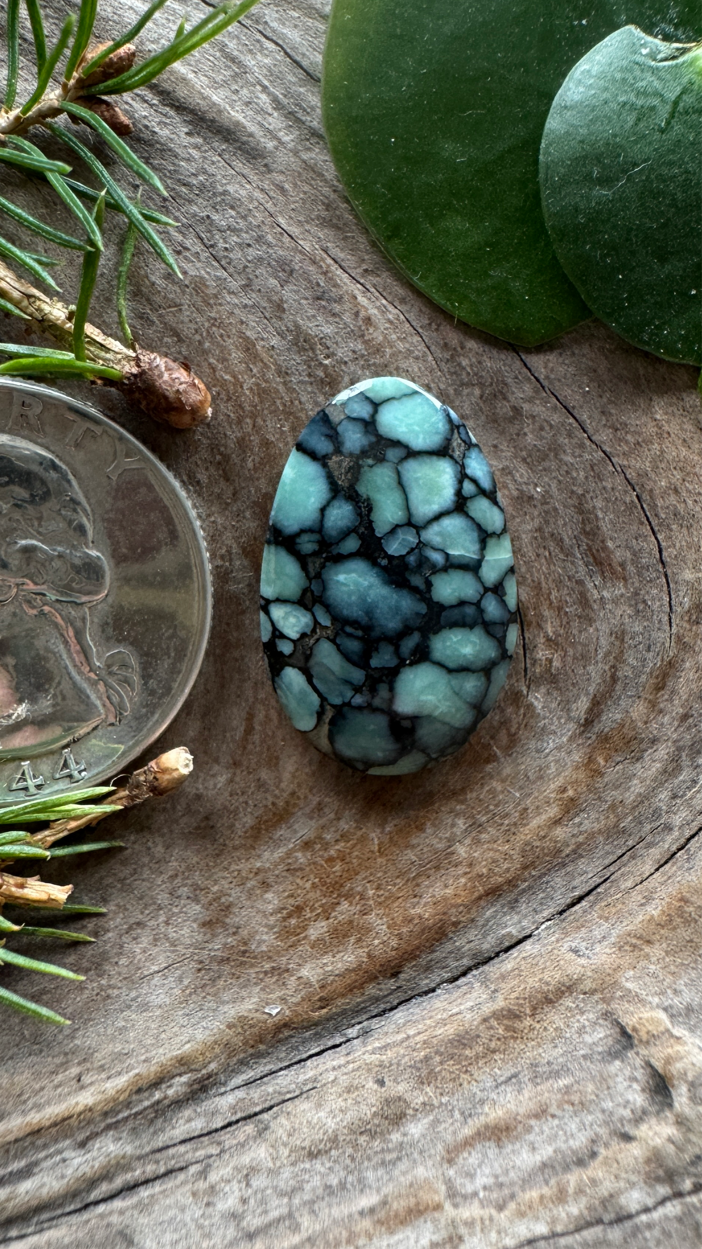 Desert Bloom Variscite - Top shelf, all natural