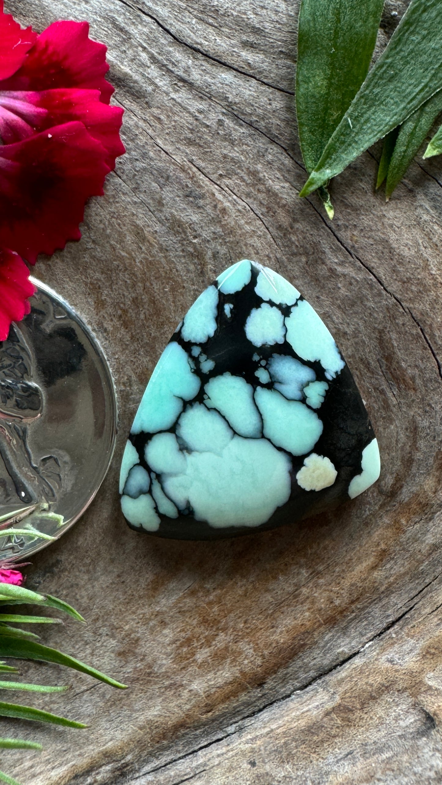 Ultra High Grade Desert Bloom (black)BIG