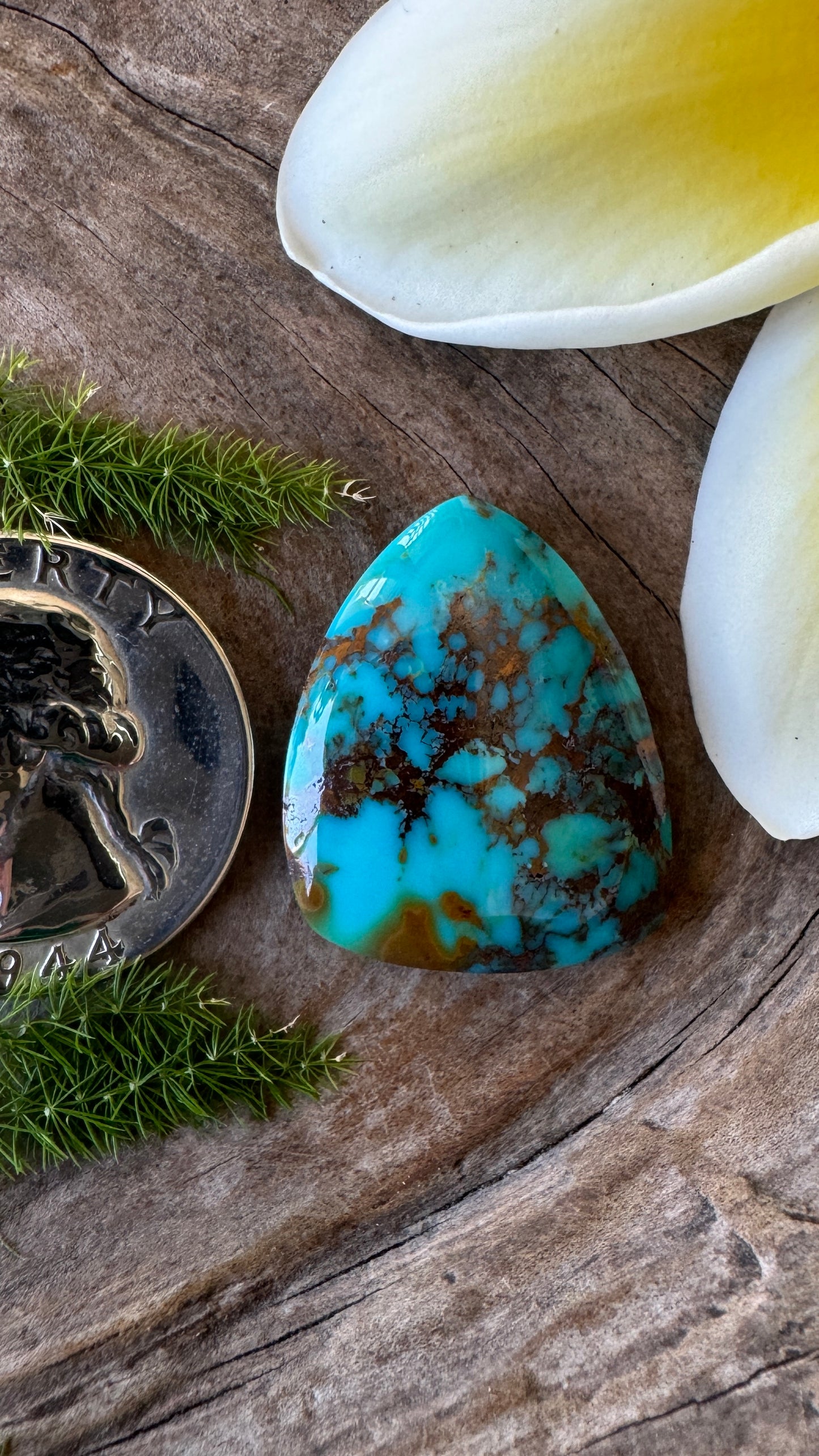Rising Phoenix Turquoise