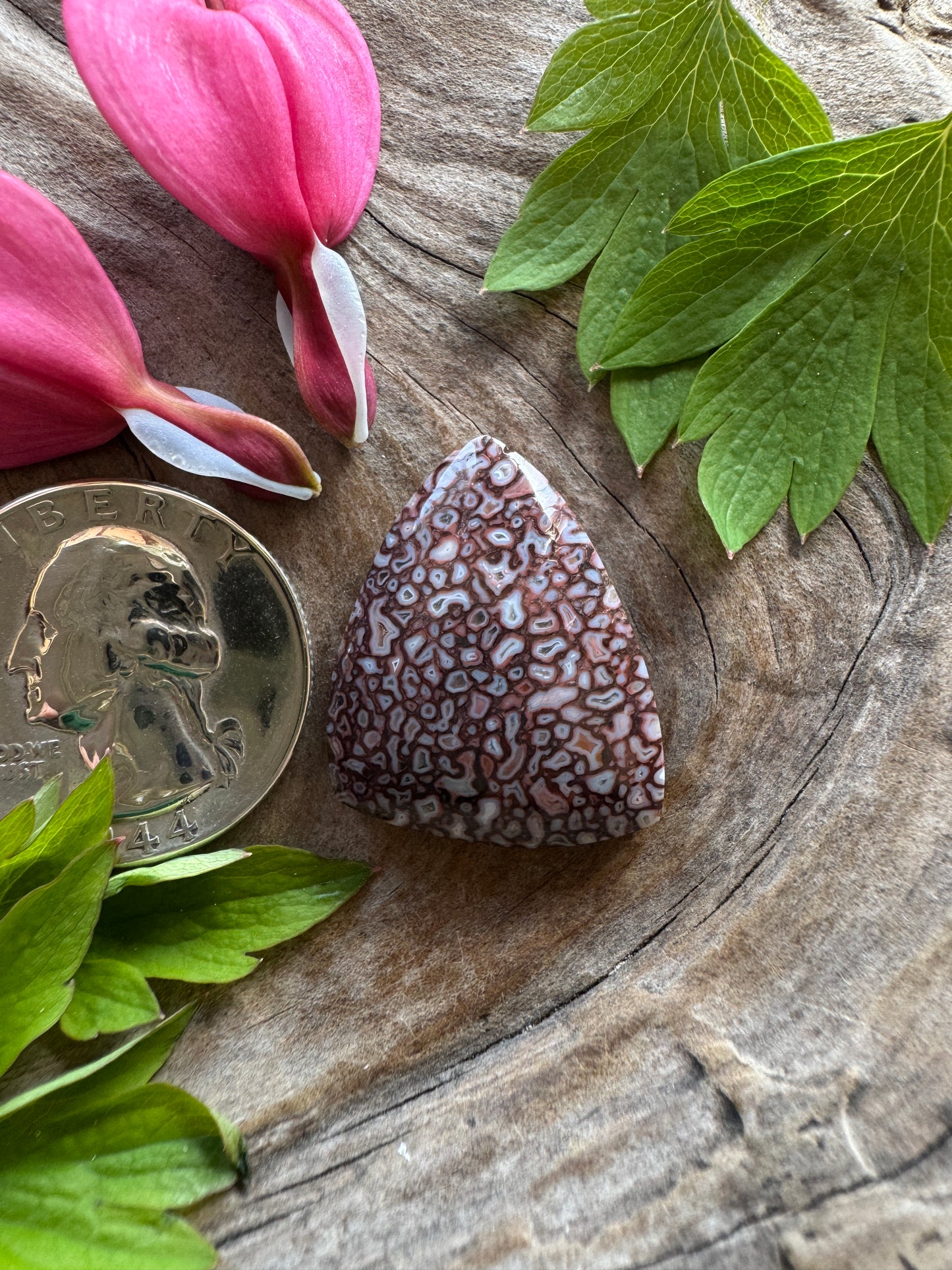 Dino Gem Bone - pinkish/reddish/white/druzy