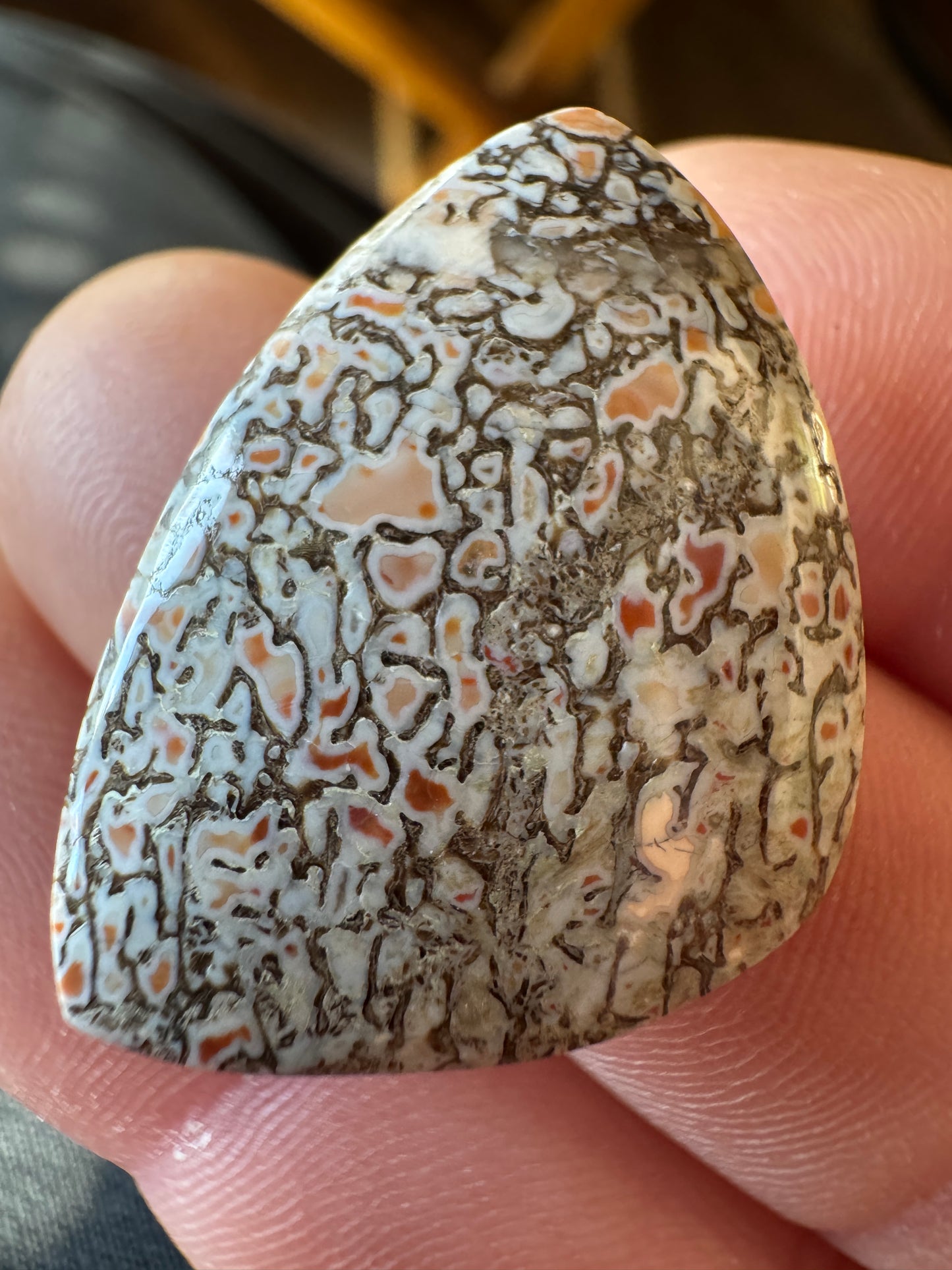 Dino Gem Bone - cool coloring!
