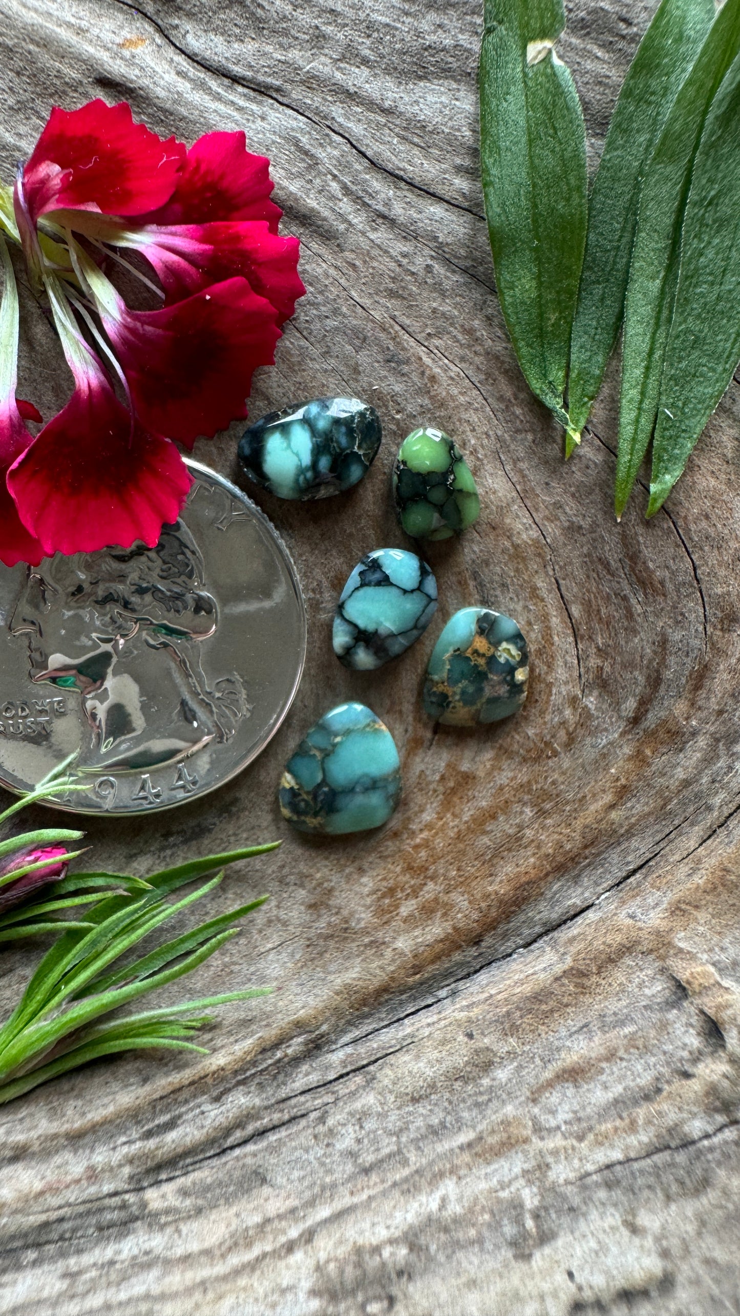 Calypso/7D/Damele/Vista Grande variscite lot