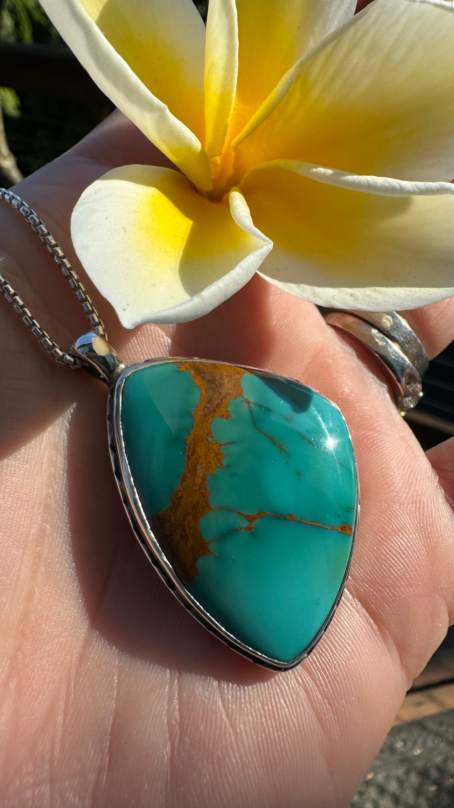 Top Shelf Royston Turquoise - Nevada Necklace