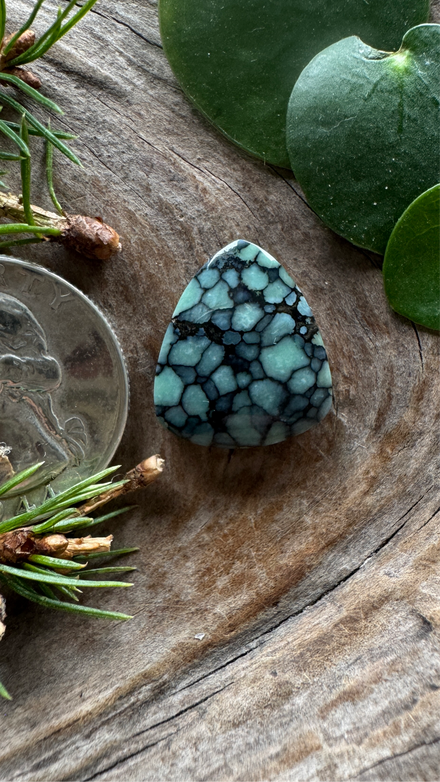 Desert Bloom Variscite - Top shelf, all natural