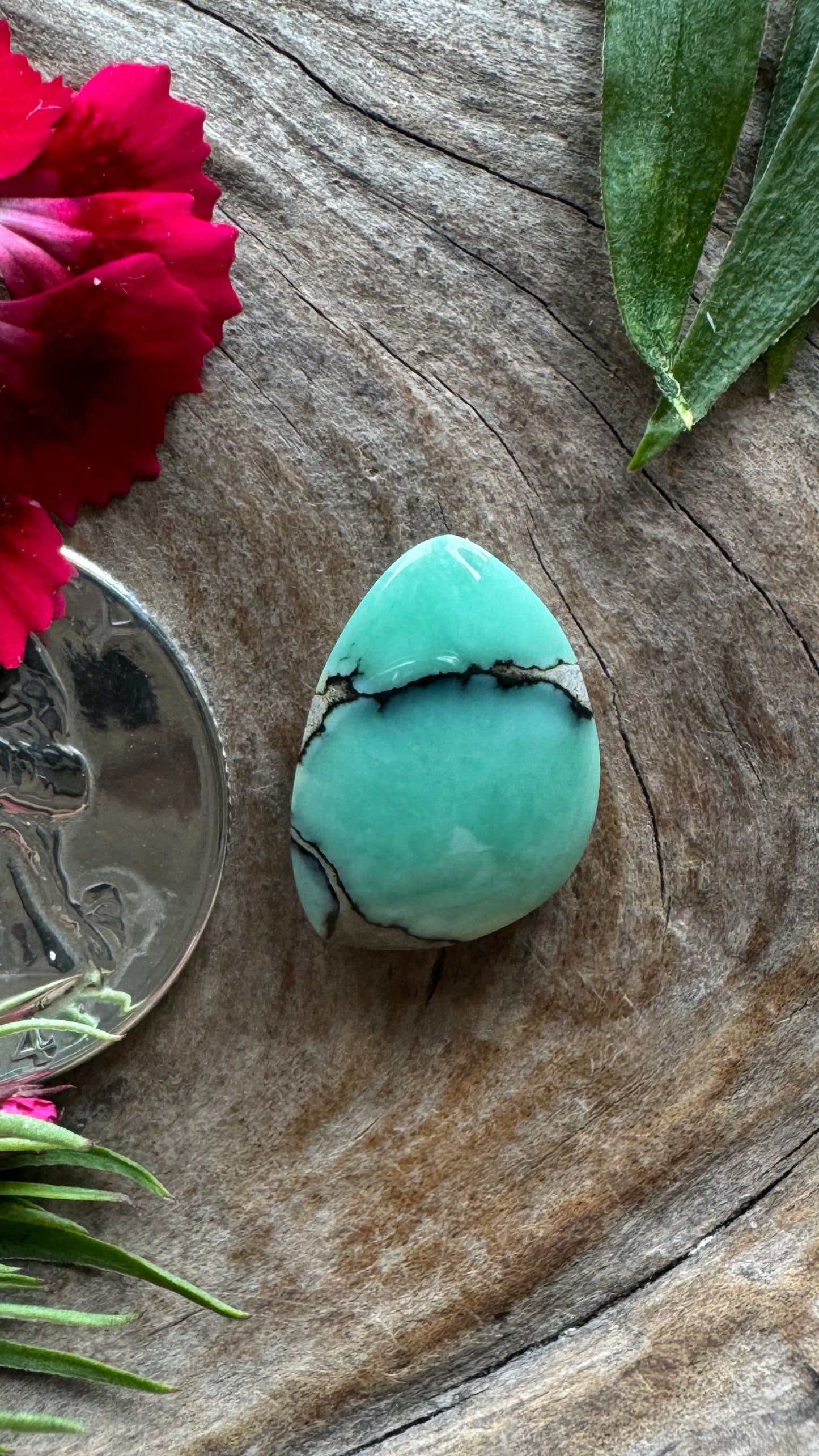 Desert Bloom Variscite (gemmy)