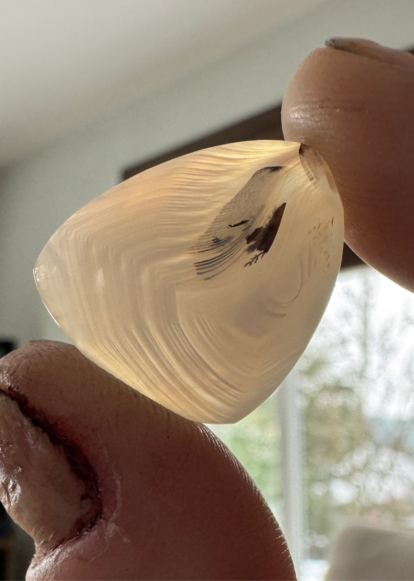 Rare Copco Dendrite Agate - Oregon