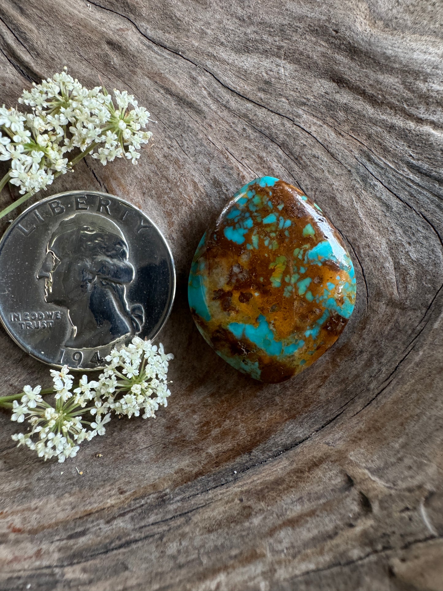 Rising Phx Turquoise~backed~soo good!