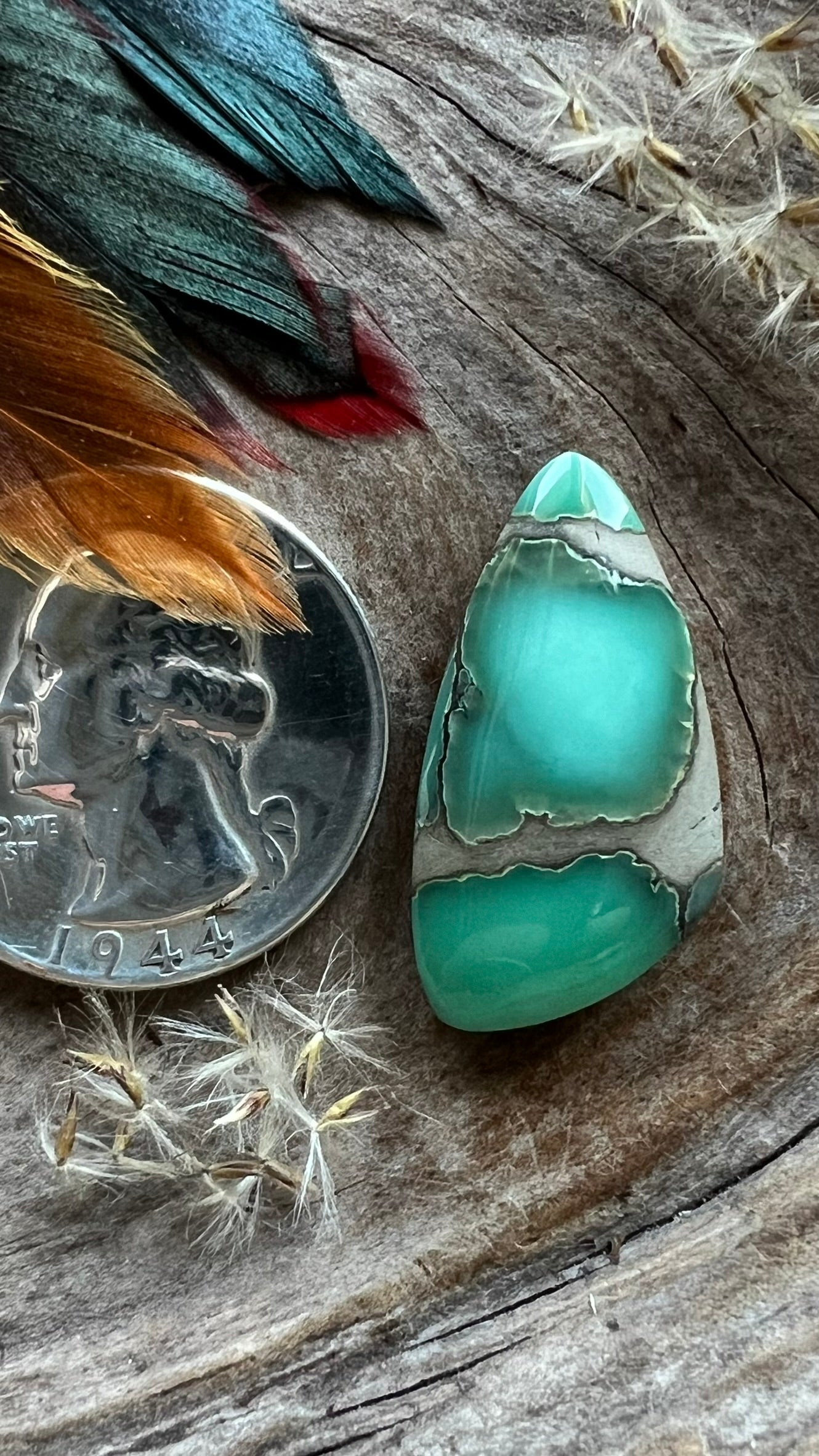 Desert Bloom Variscite