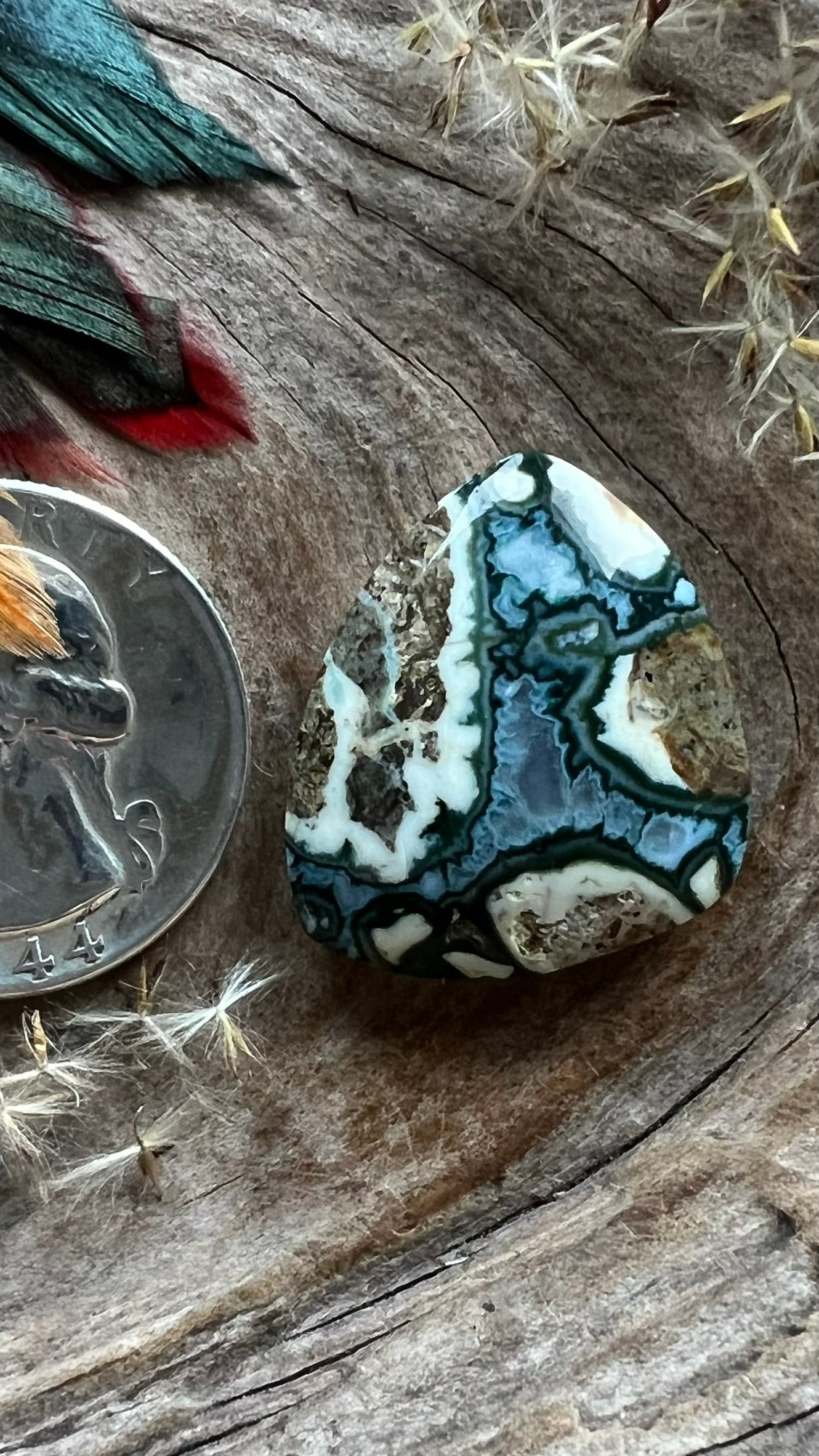 Extremely Rare Forest Green Plume Agate ~ Idaho