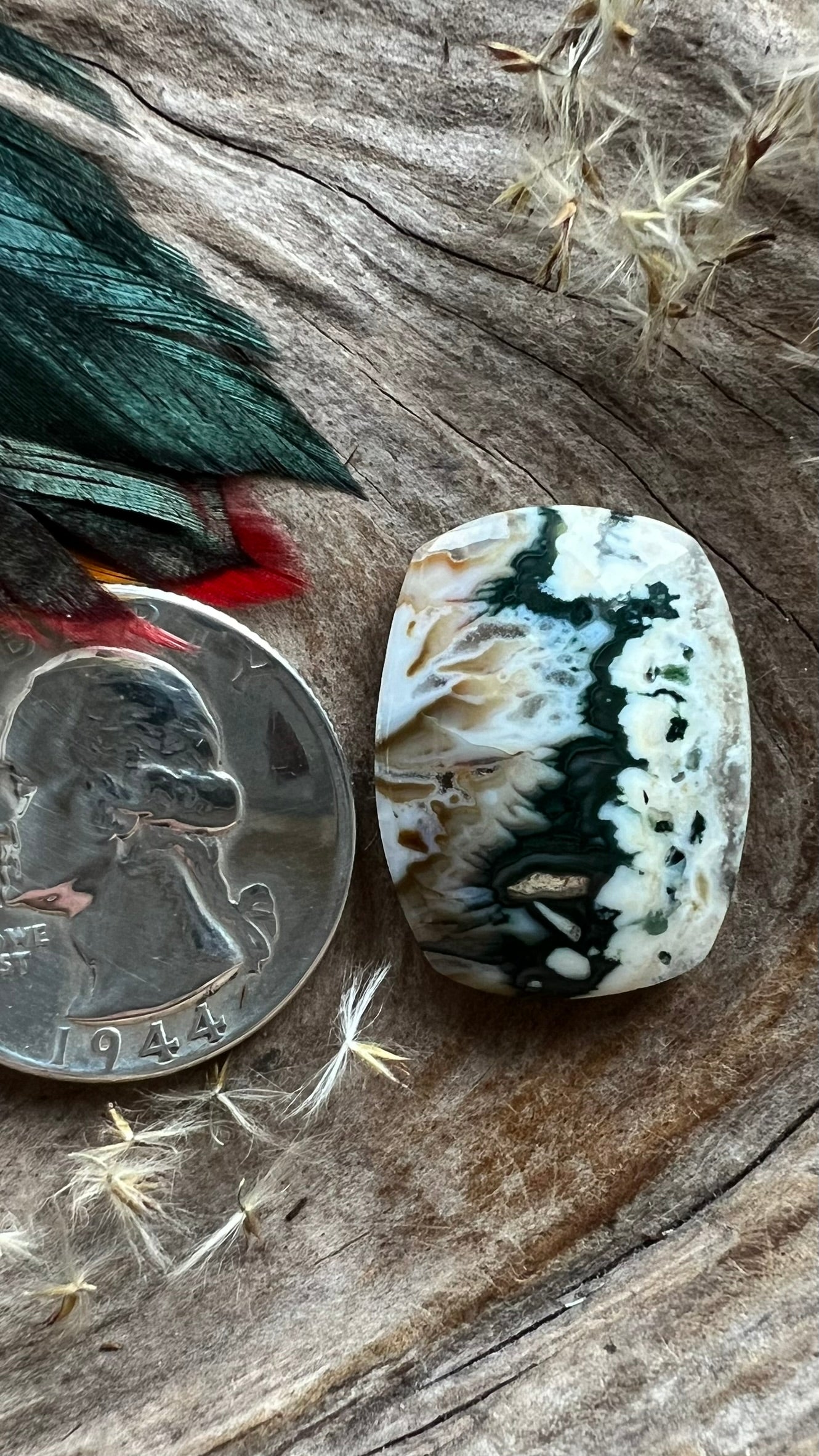 Extremely Rare Forest Green Plume Agate ~ Idaho