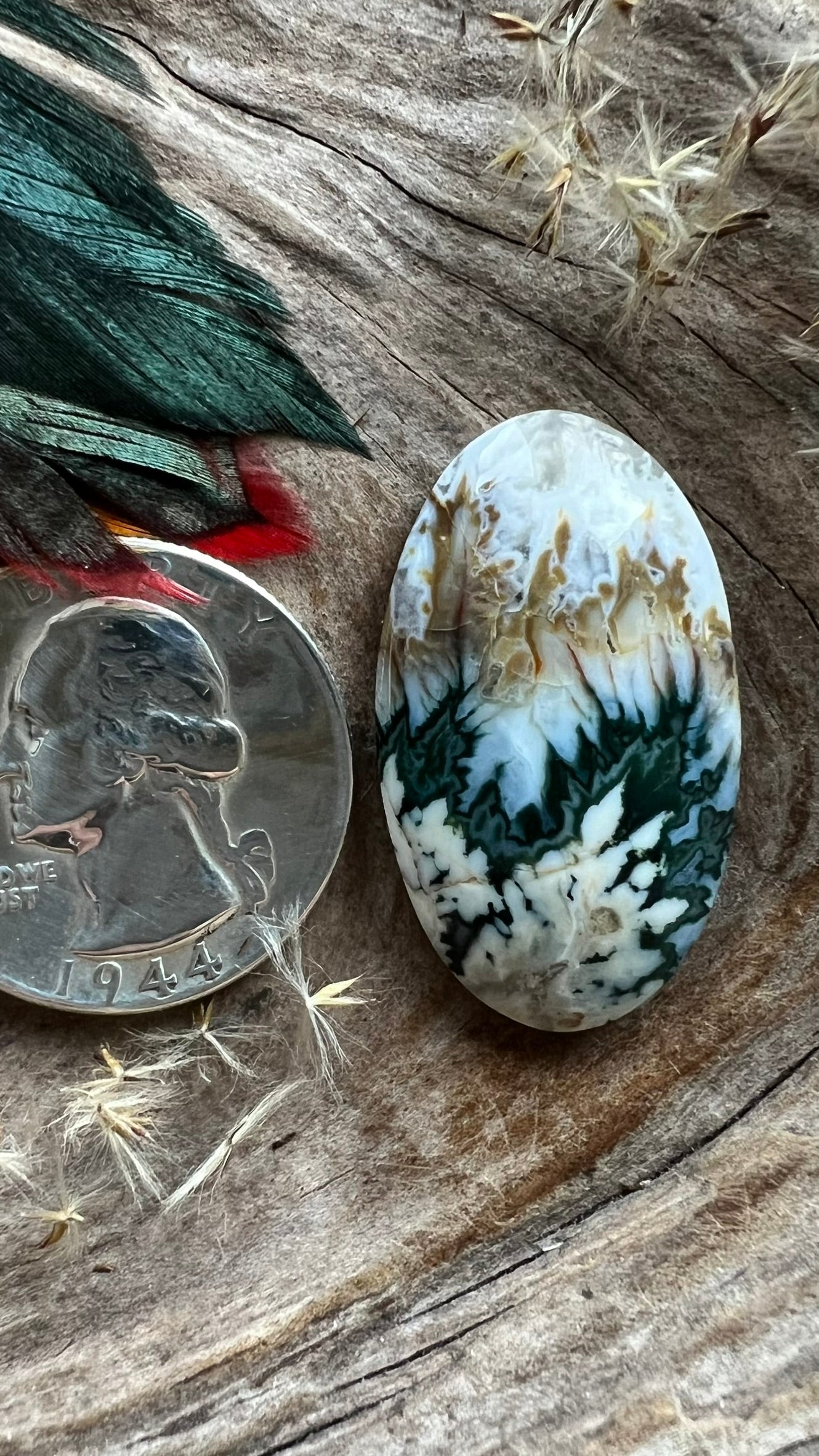 Extremely Rare Forest Green Plume Agate ~ Idaho
