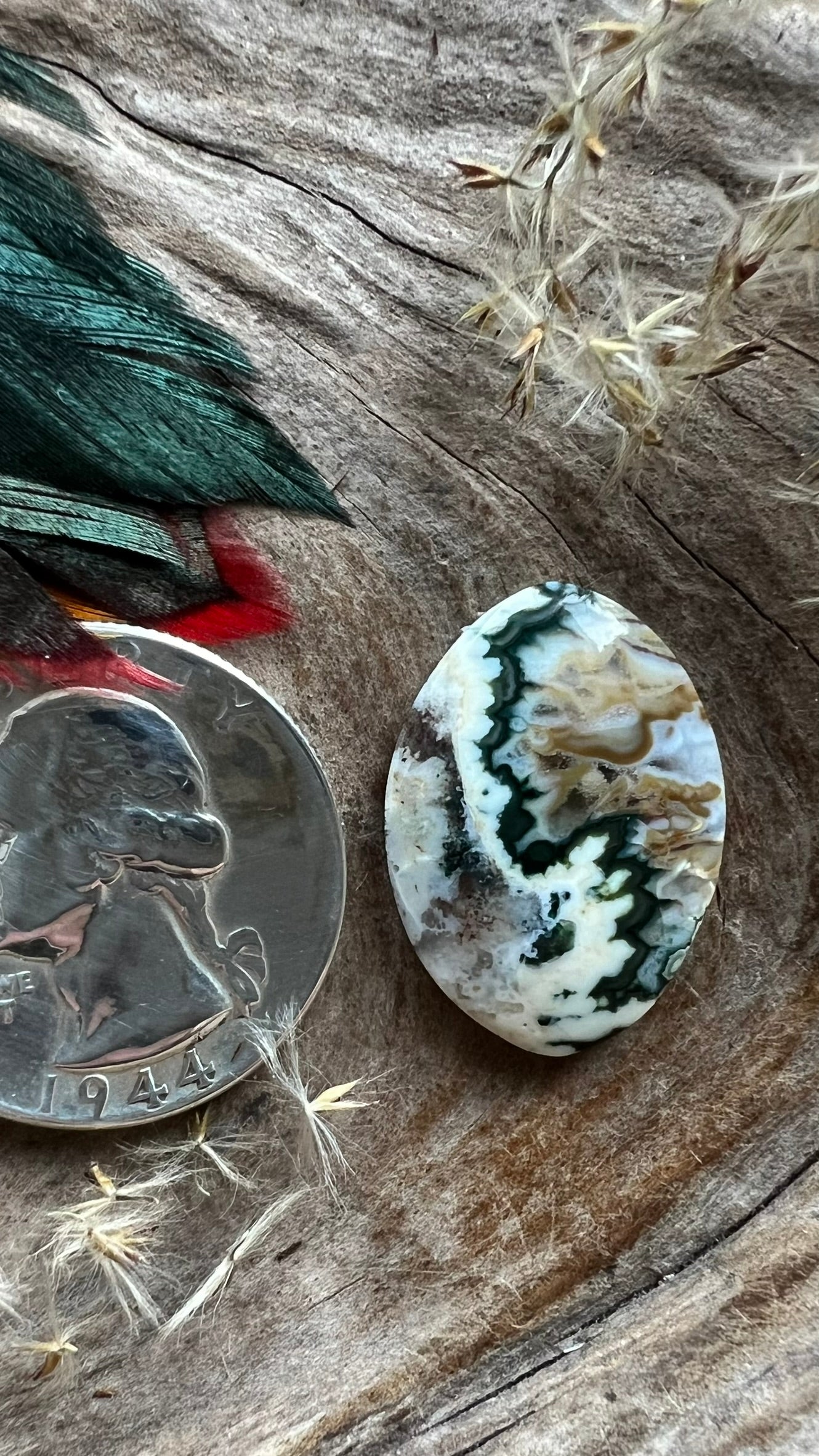 Extremely Rare Forest Green Plume Agate ~ Idaho
