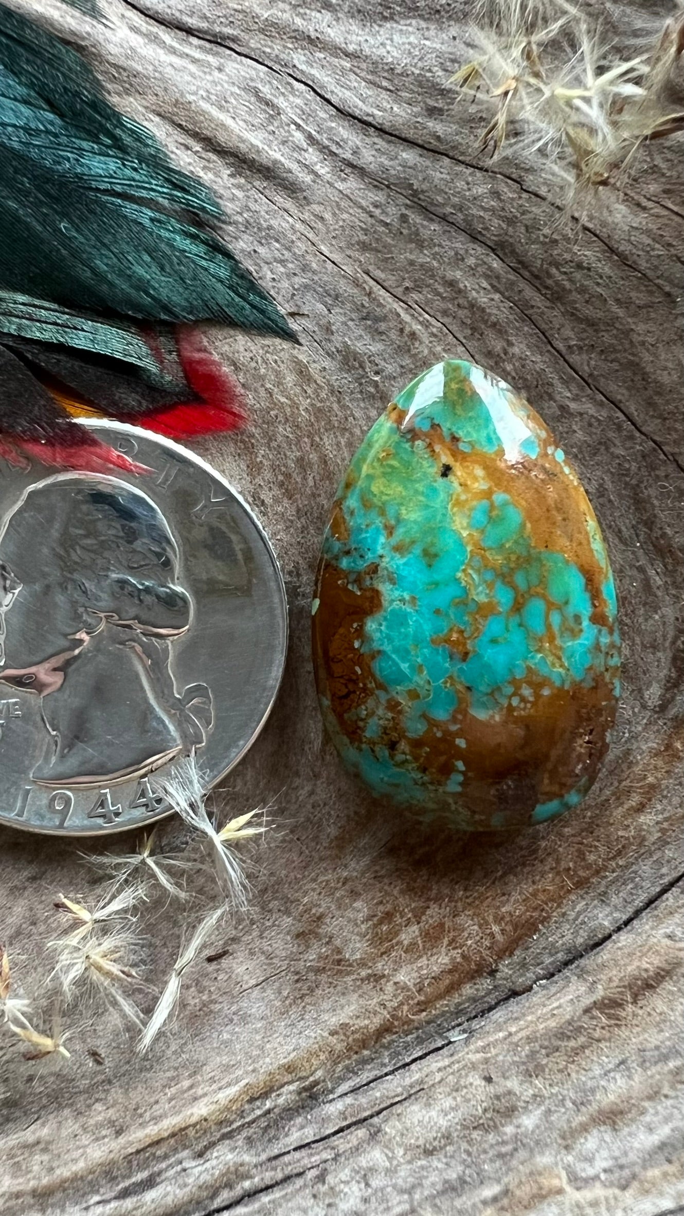Rising Phoenix Turquoise ~ Arizona
