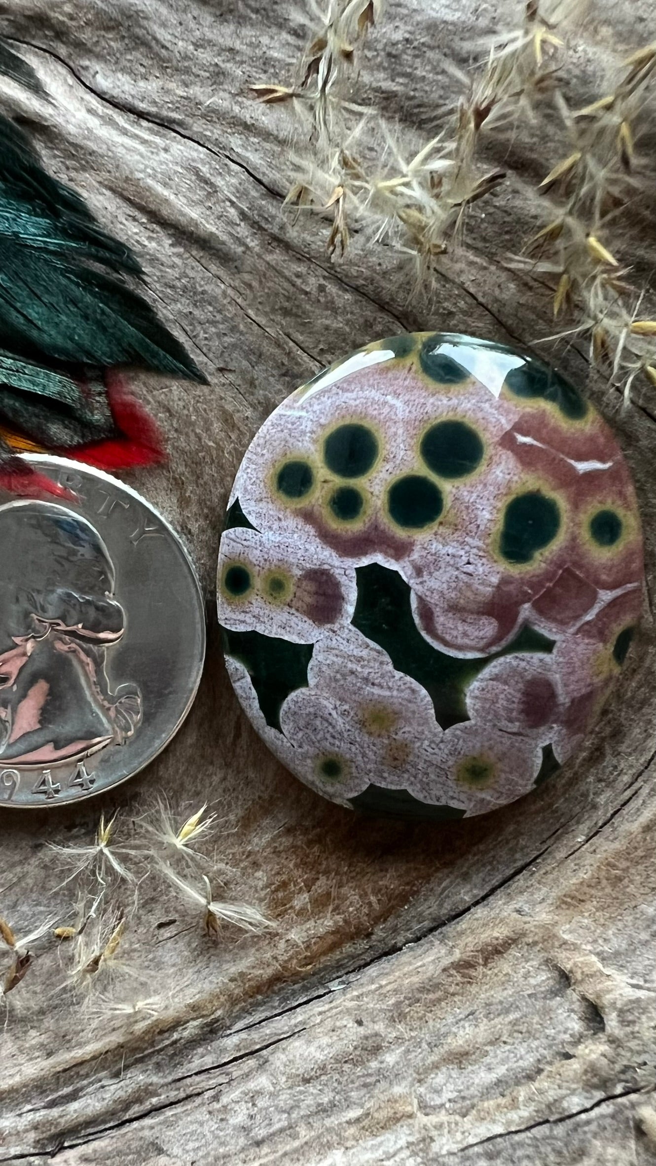 Kambaba Ocean Jasper BIGGIE ~ Madagascar