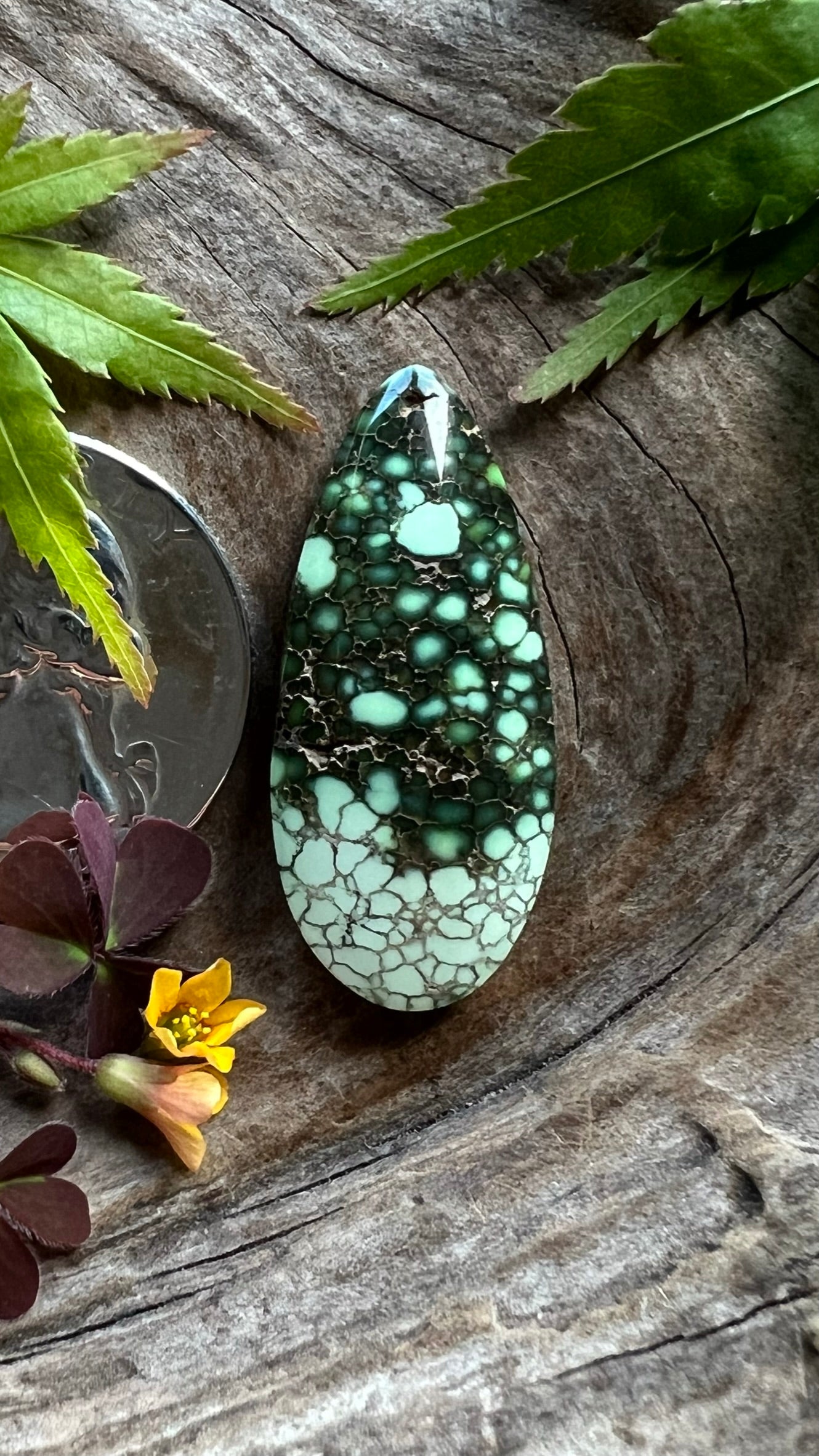 Ultra High Grade Damele Variscite ~ Cream of the crop!!