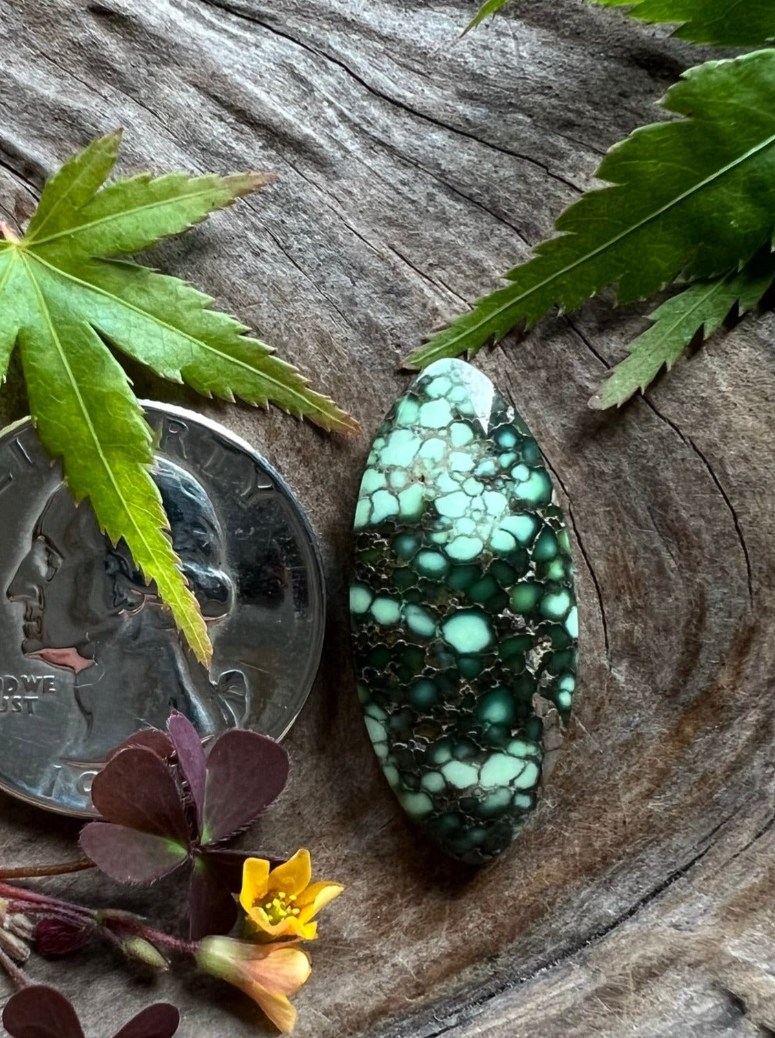 Ultra High Grade Damele Variscite ~ Cream of the crop!!