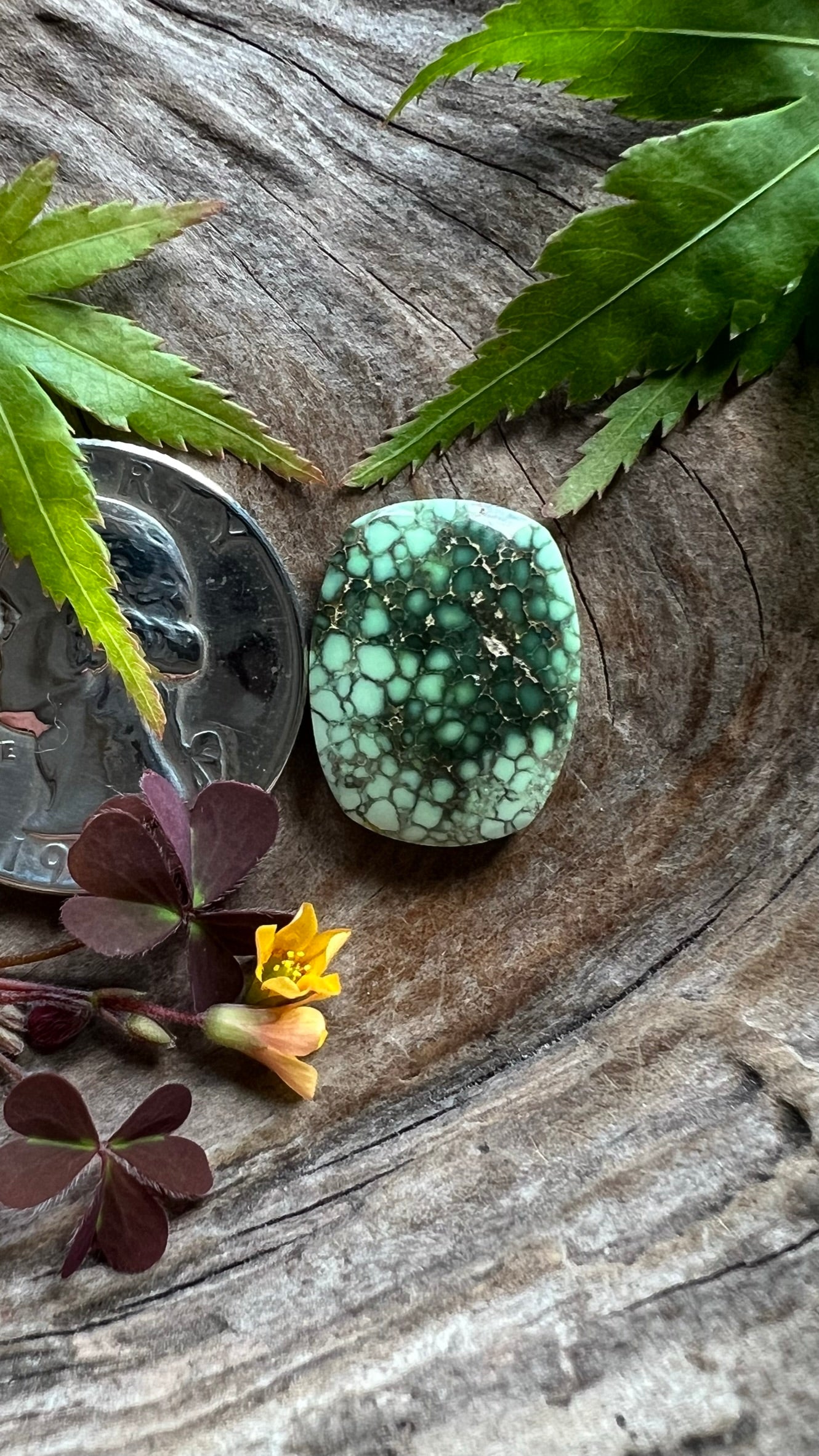 Ultra High Grade Damele Variscite ~ Cream of the crop!!