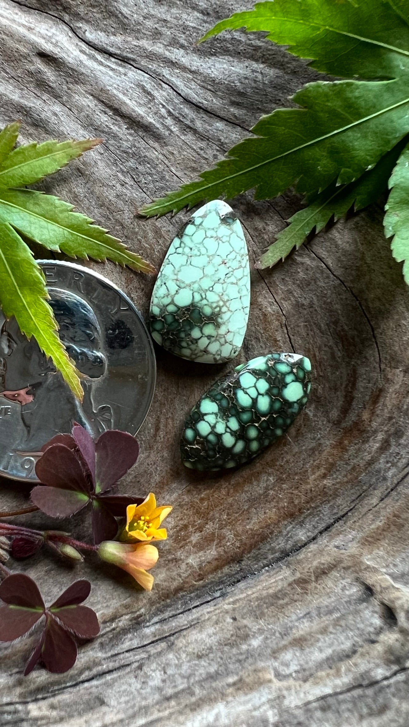 Ultra High Grade Damele Variscite DUO ~ Cream of the crop!!