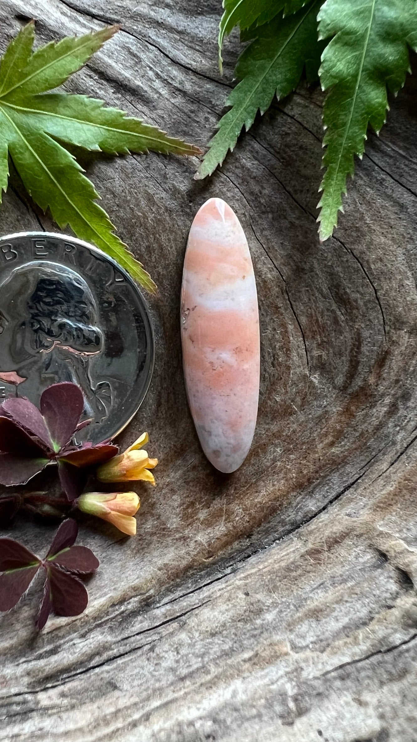 Oregon Sunset Jasper ~ Pink Cutie